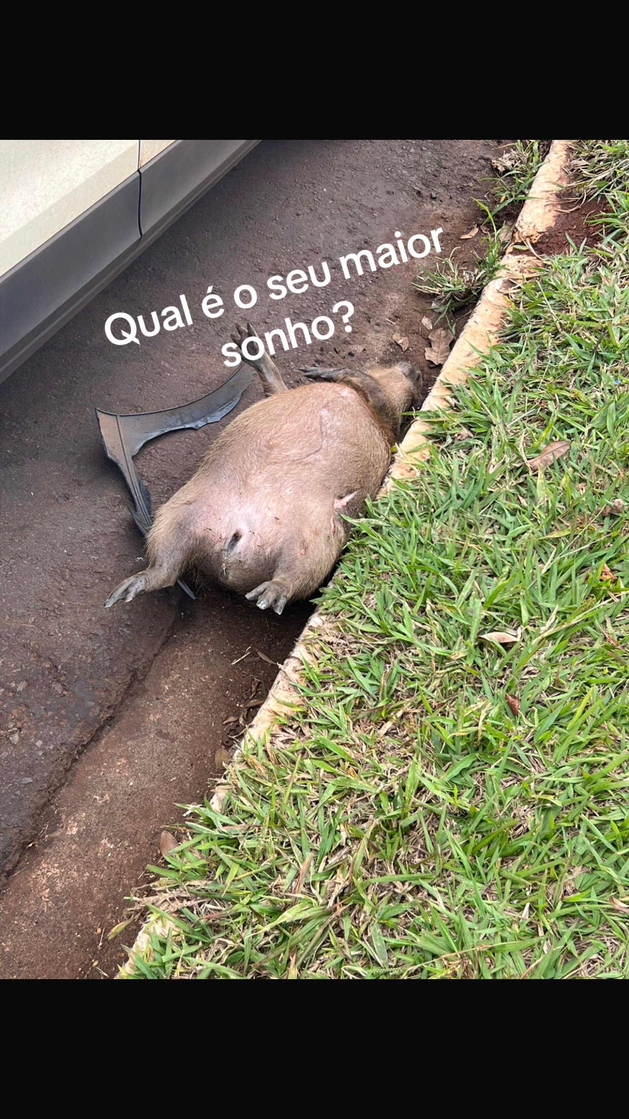 @joao77zz
