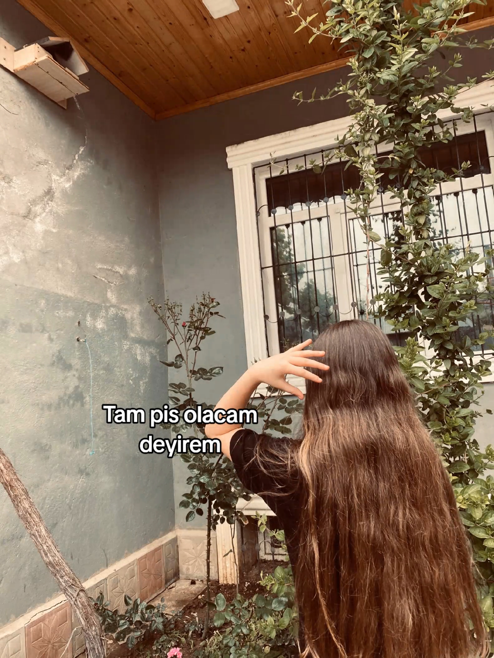 @𝒜𝓎𝒶𝓃