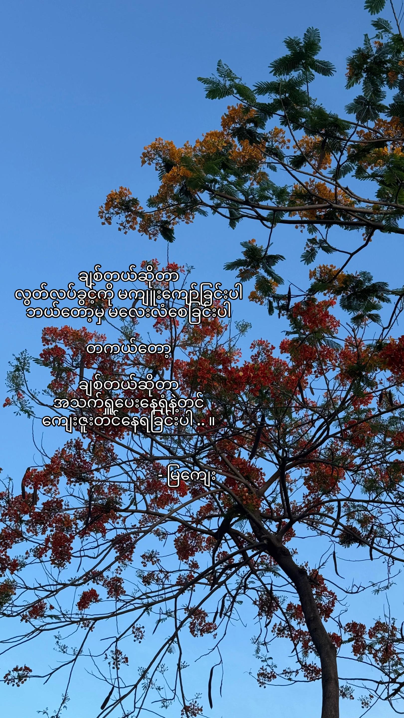 @livingsoliloquy