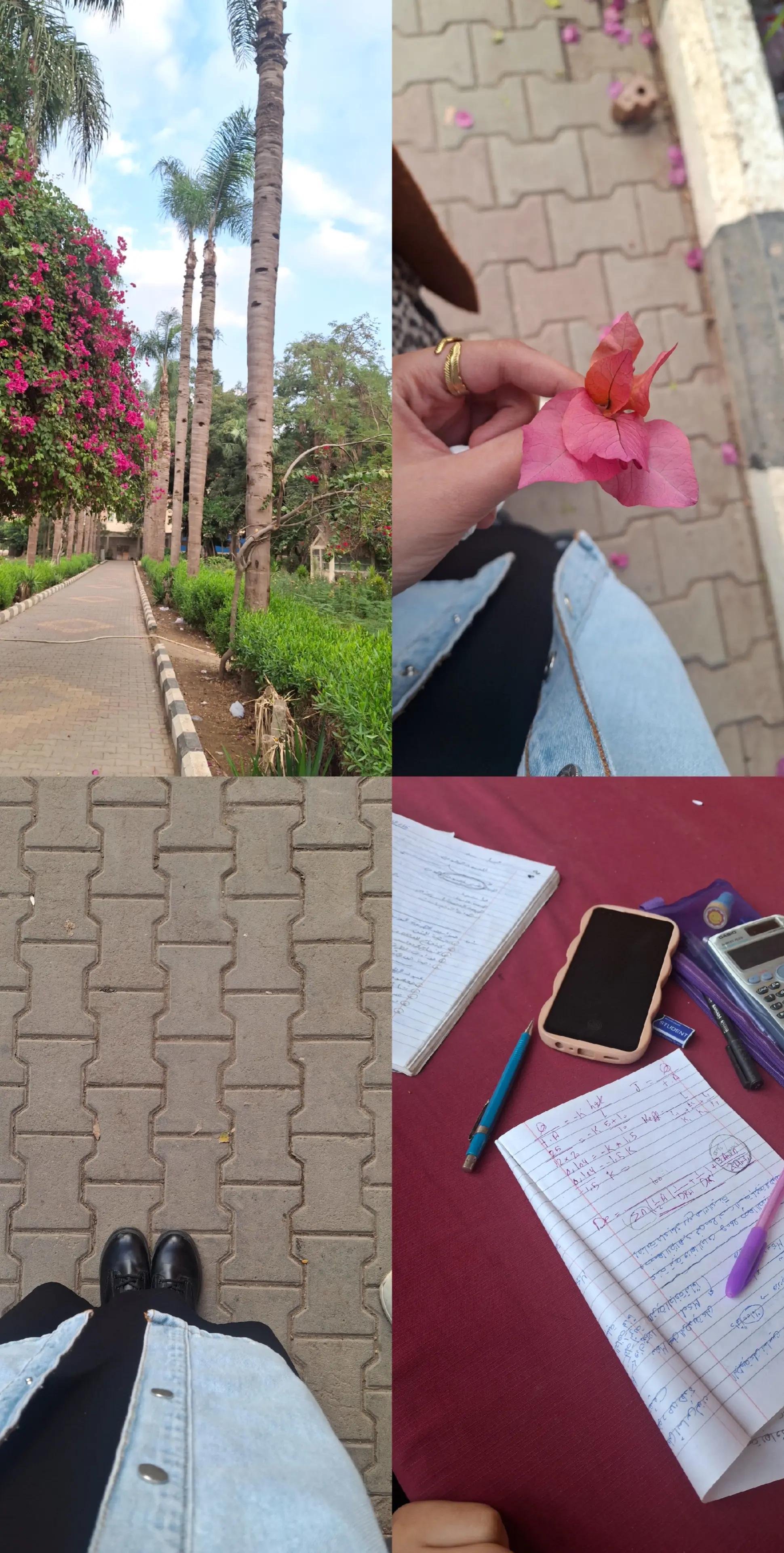 @DODA๐๐บ
