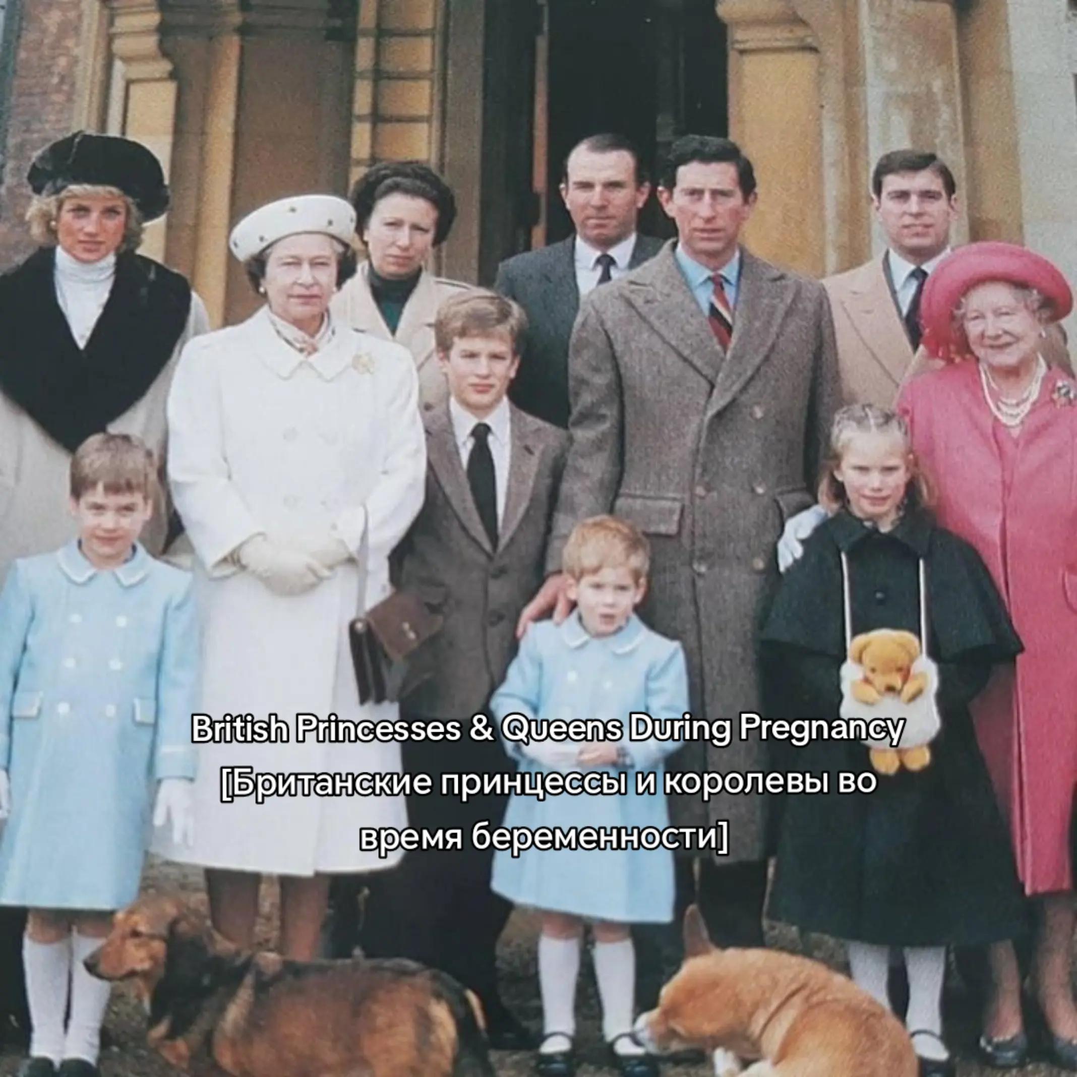 @♔ 𝓡𝓸𝔂𝓪𝓵 𝓩𝓱 🇬🇧