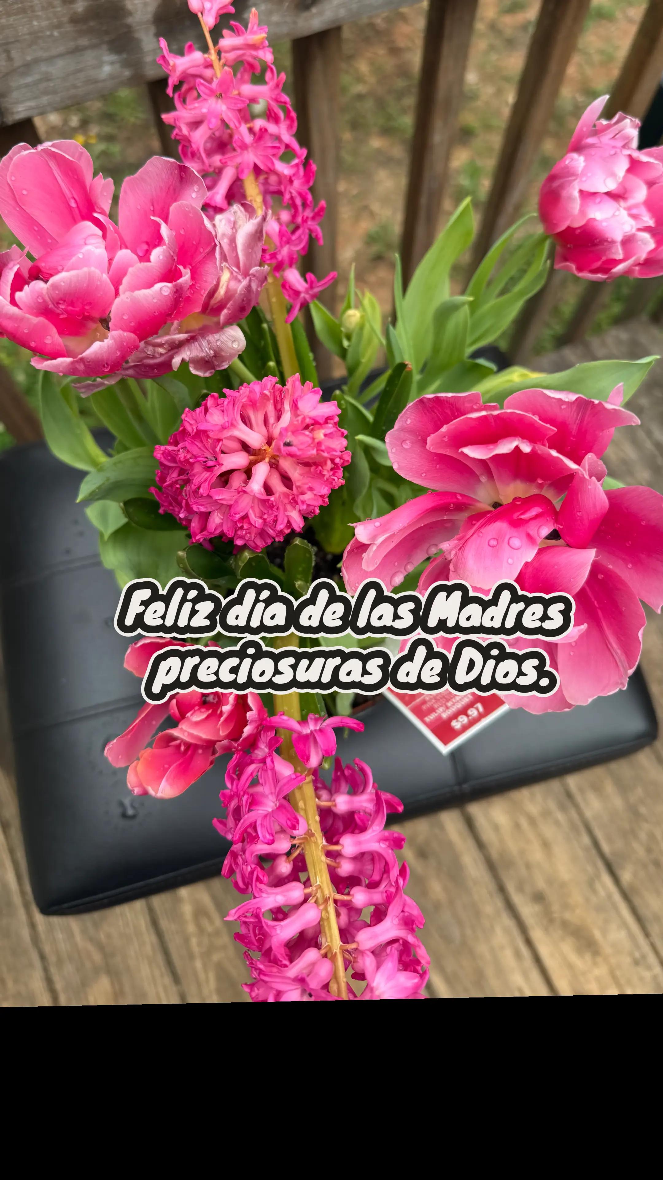 @🇭🇳🌹Rossy🌹🦋