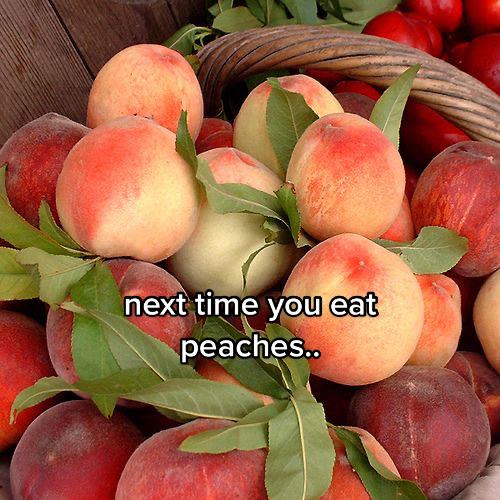 @Sulli
