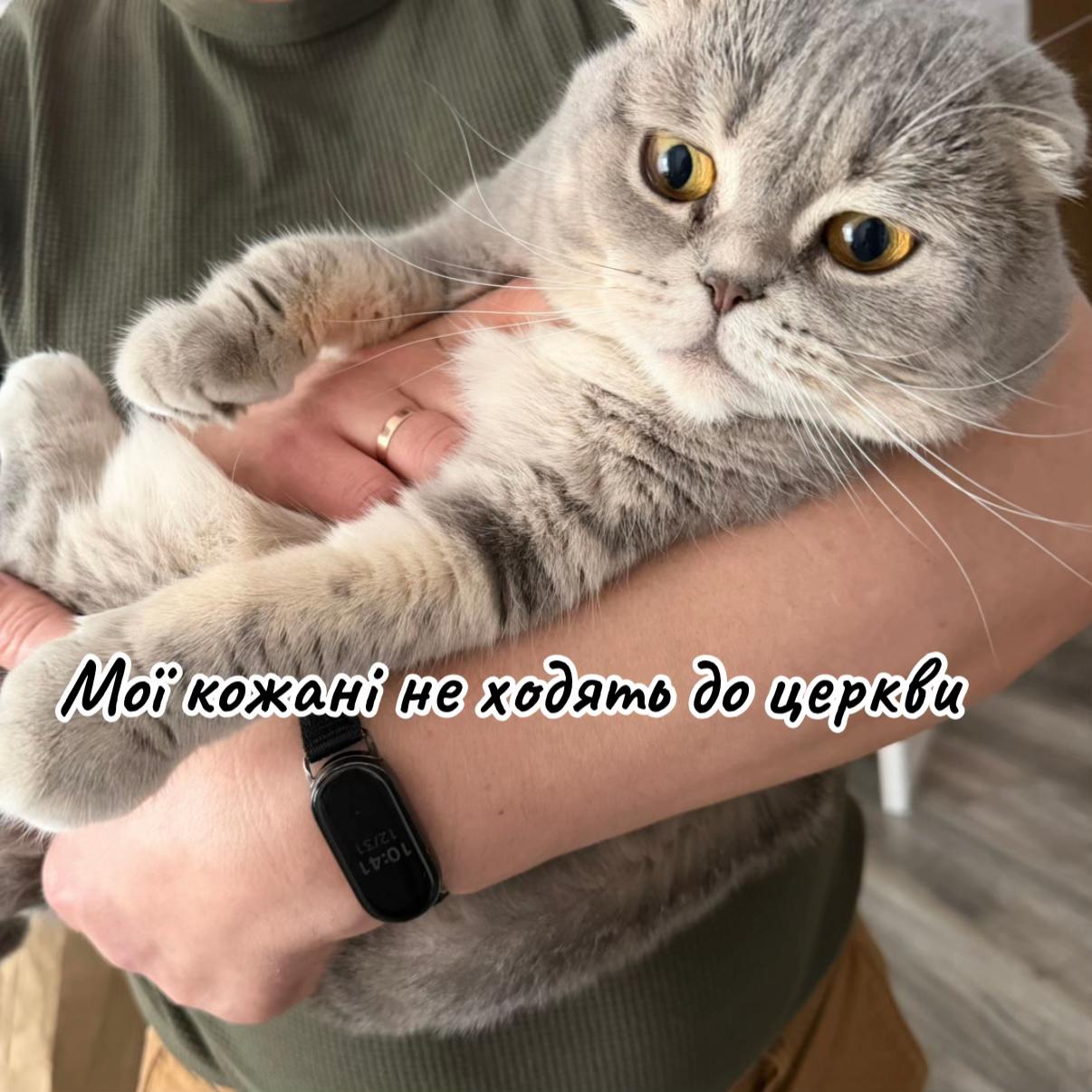 @Світлячок