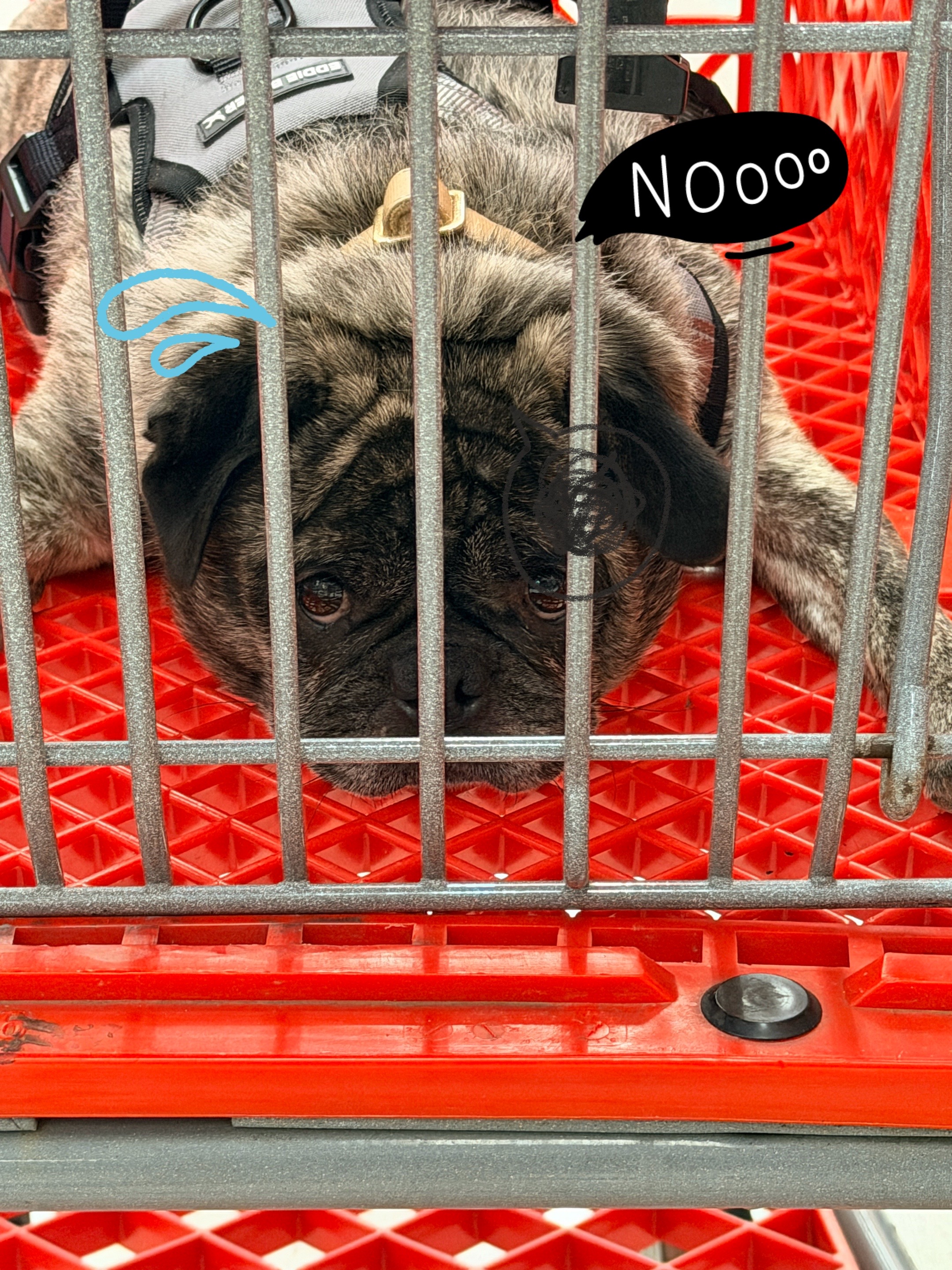 @3gents4everlittlelady