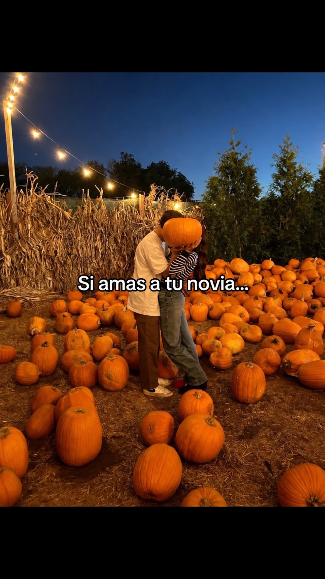 @Favoritos Del Dia ๐๐๏ธ