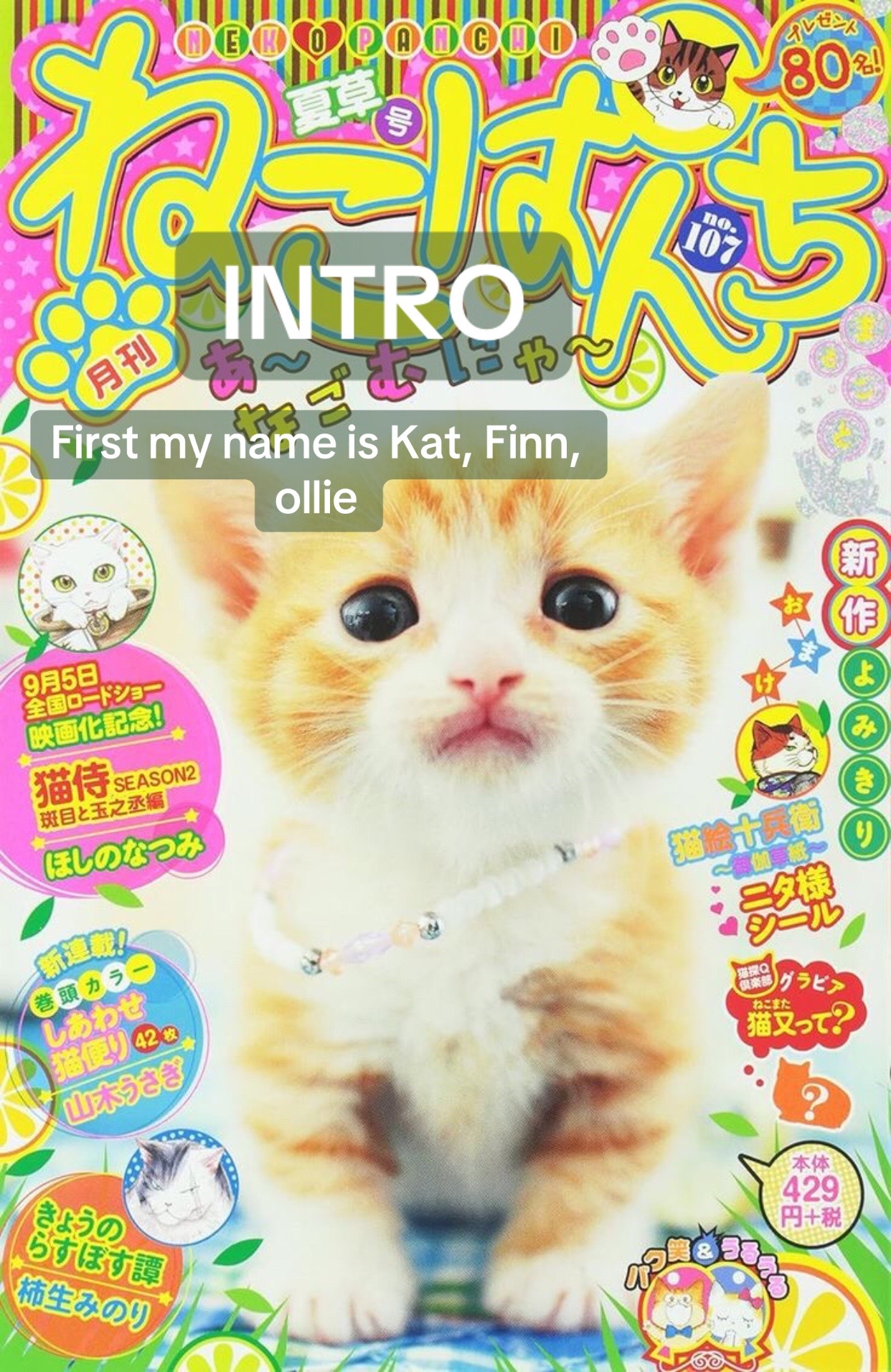 @Kathrynzside🐈