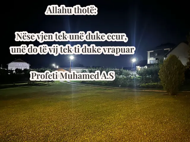 @🄱🄰🅂🅃🅁🄸 🄿🄻🄻🄰🄽🄰
