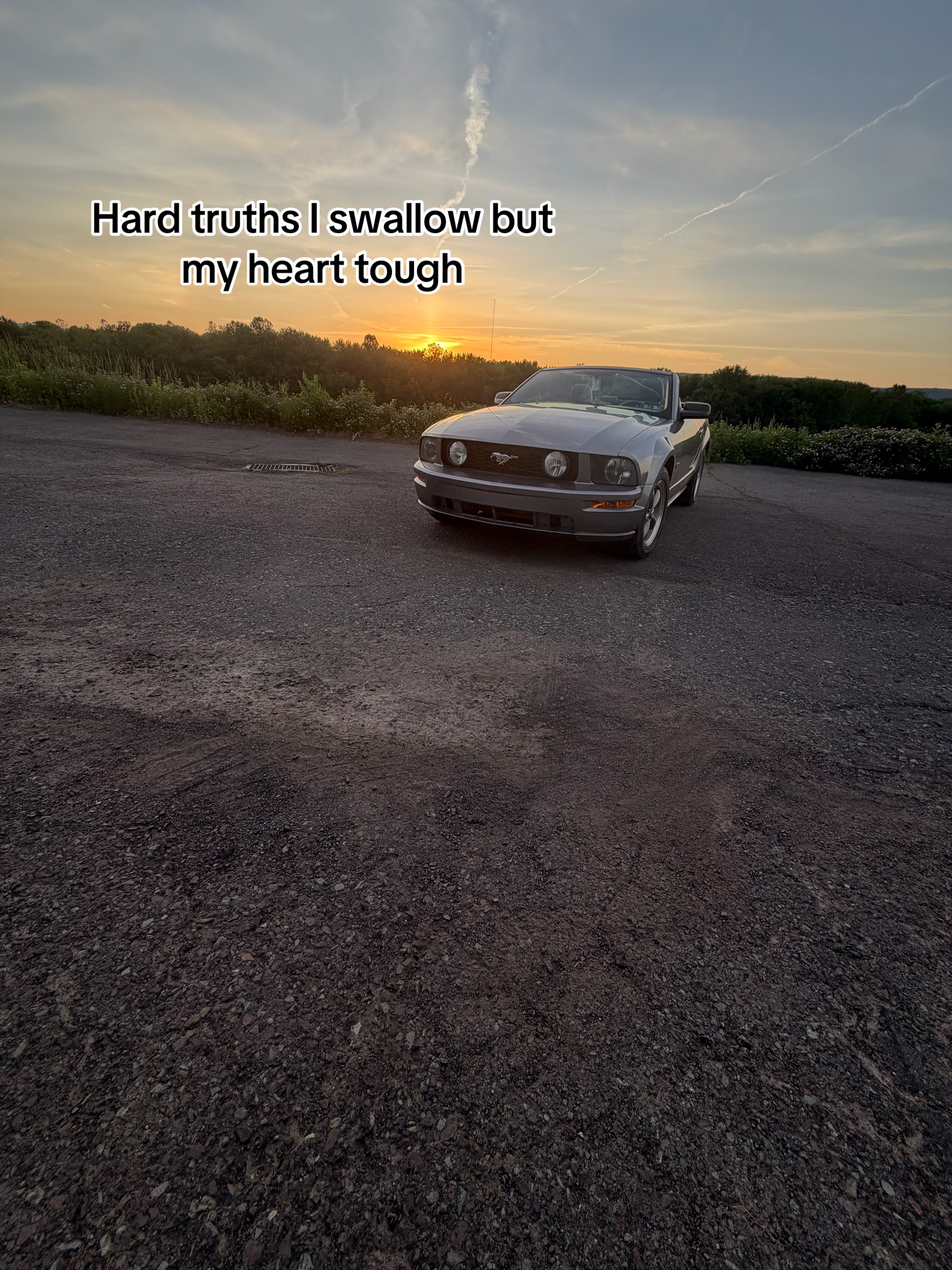 @𖣂𝓉𝓇𝒶𝓅𝒹𝒶𝒹𝒹𝓎.𝒶𝒿𖣂🪶