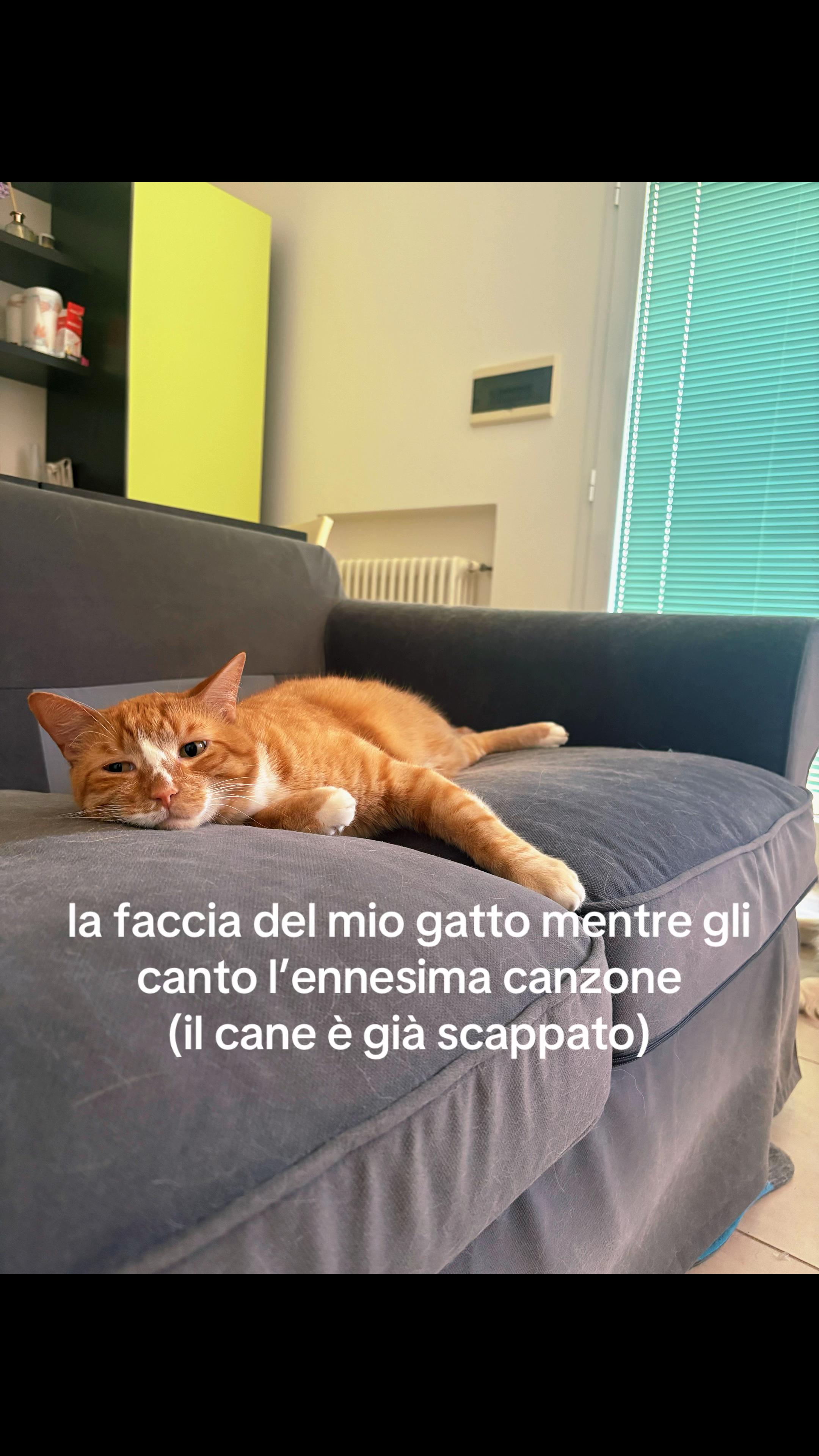 @giuli