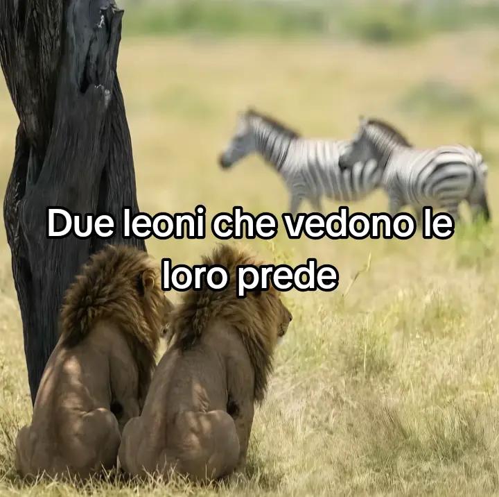@paolo.salino🏆