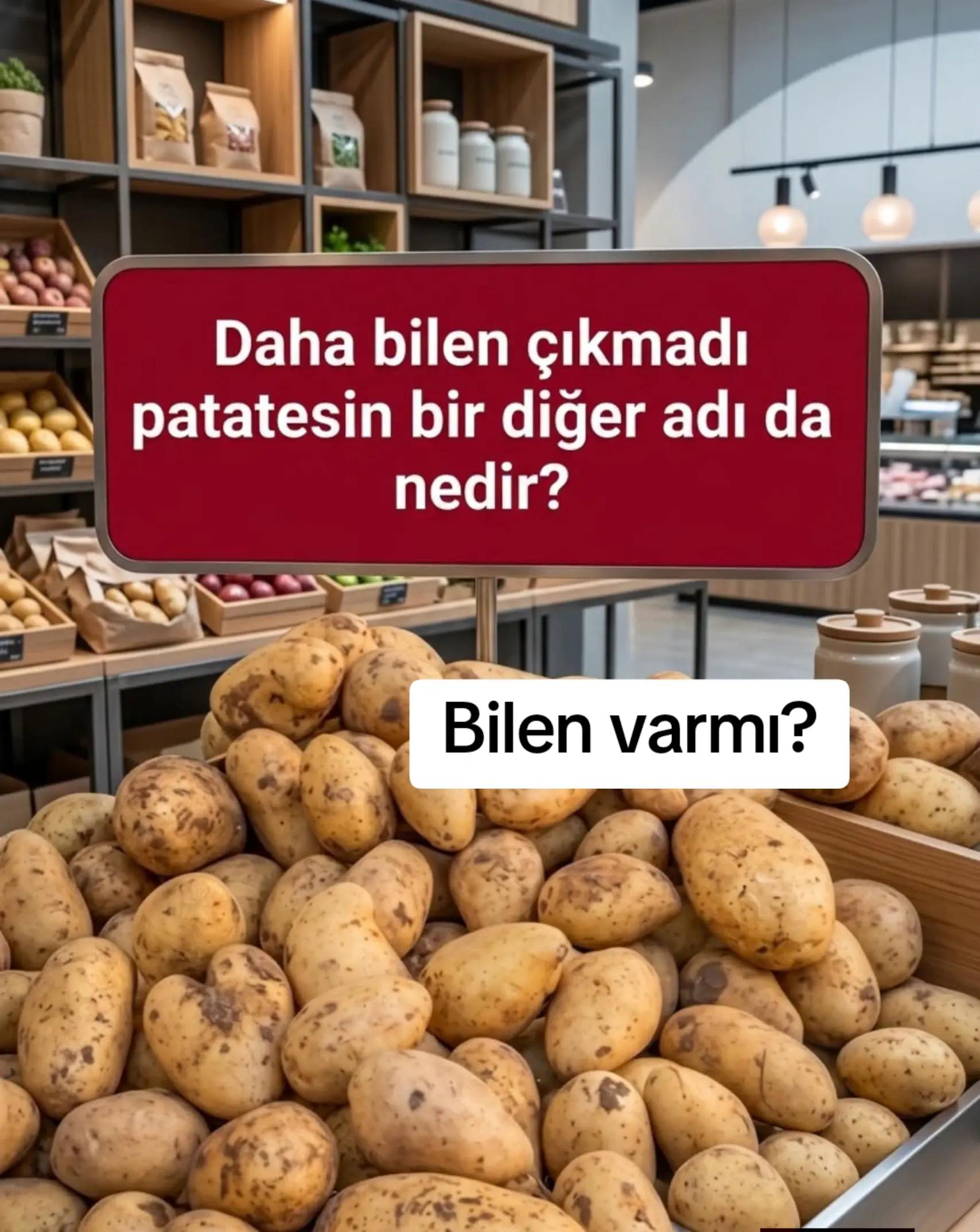 @🕊️