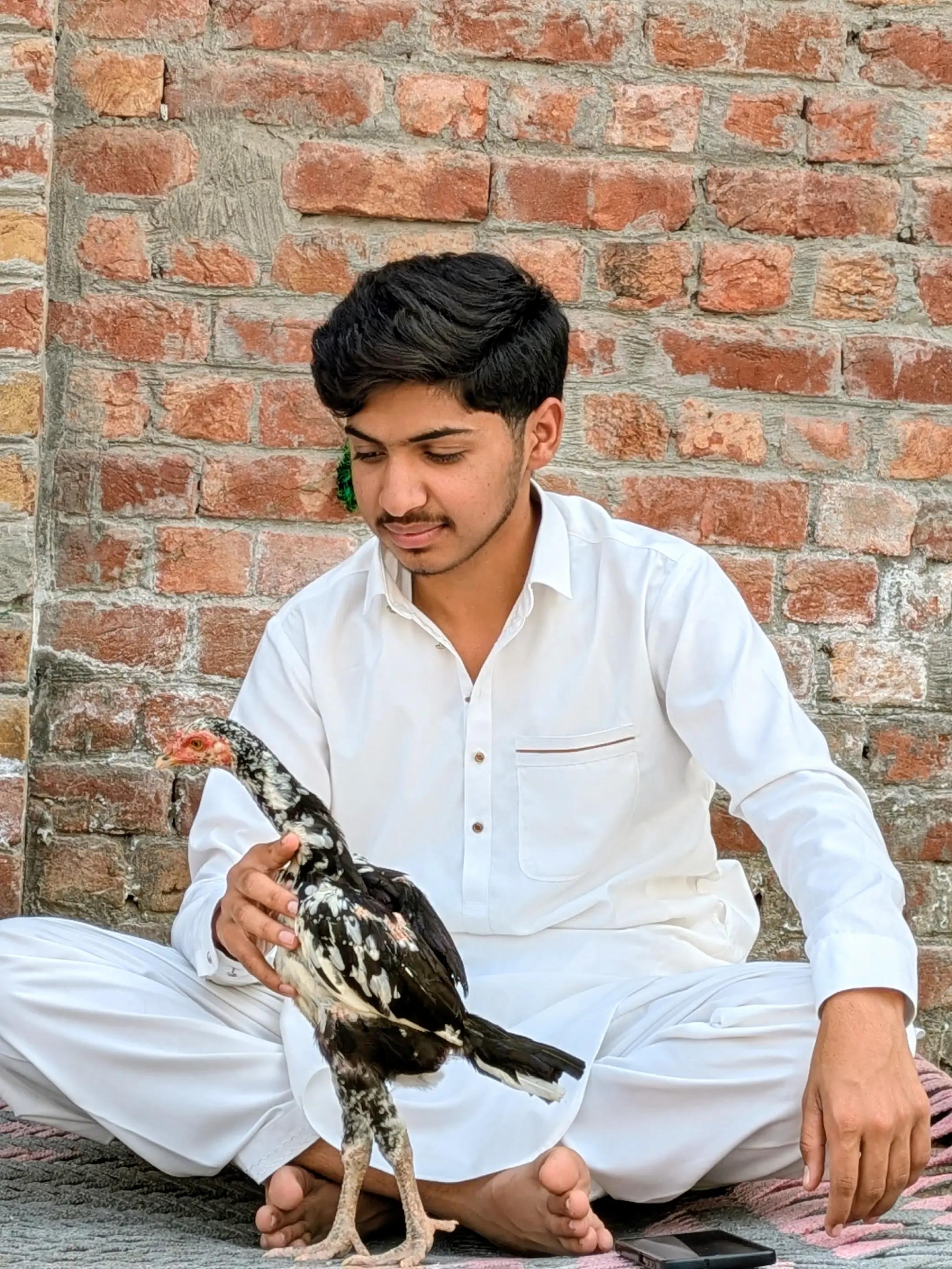 @Aseel 🐓