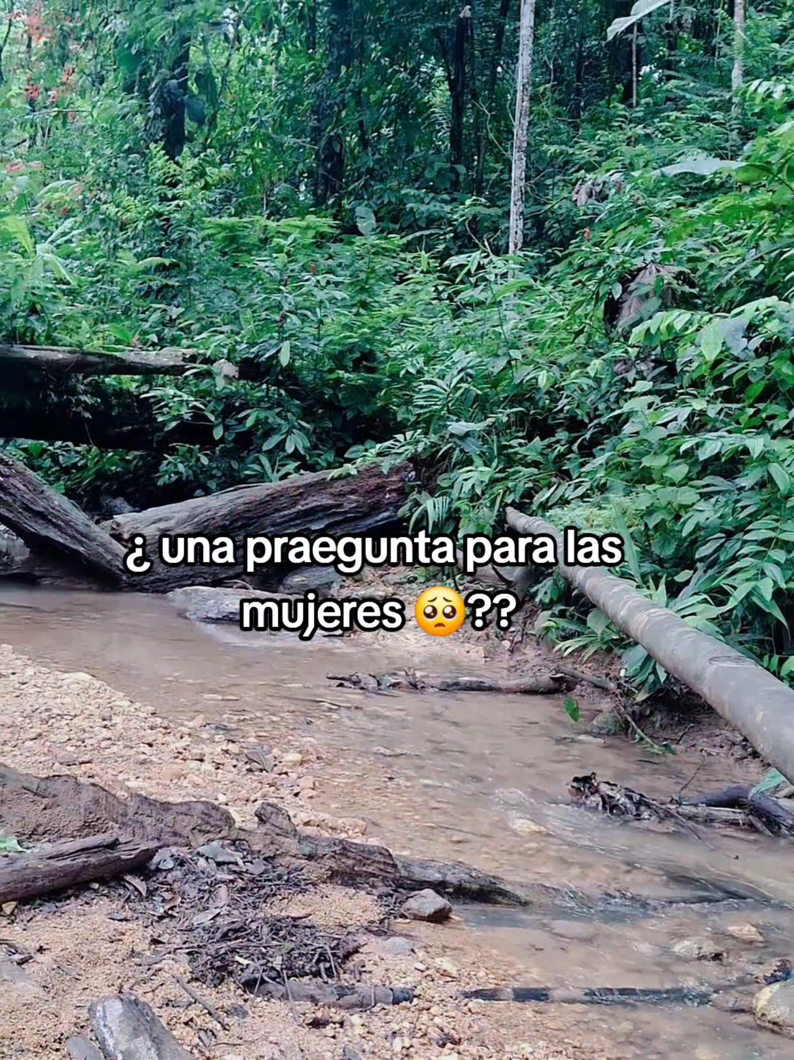 @gemelo Lopez 🥰