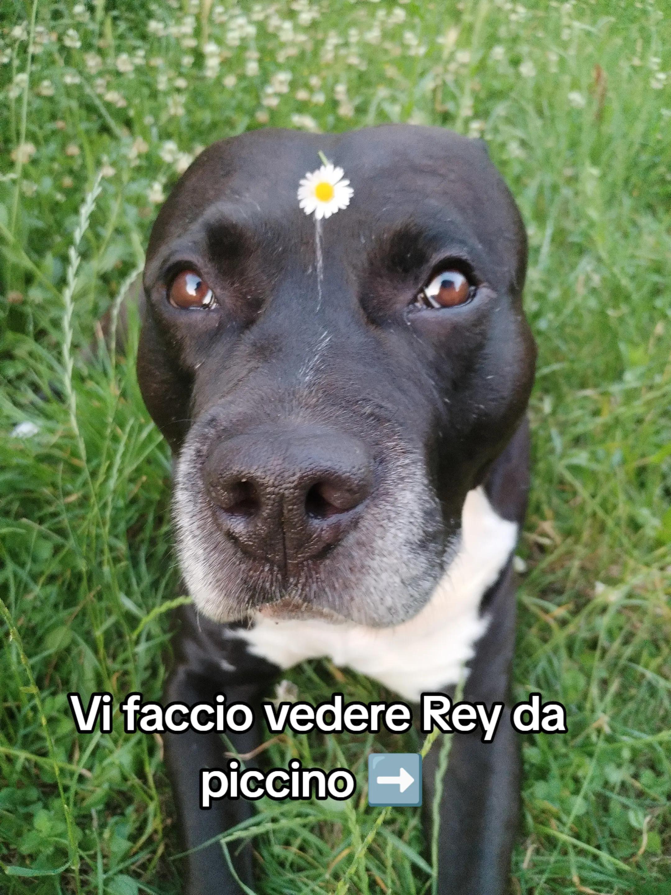 @❤️Roberta & Rey ❤️