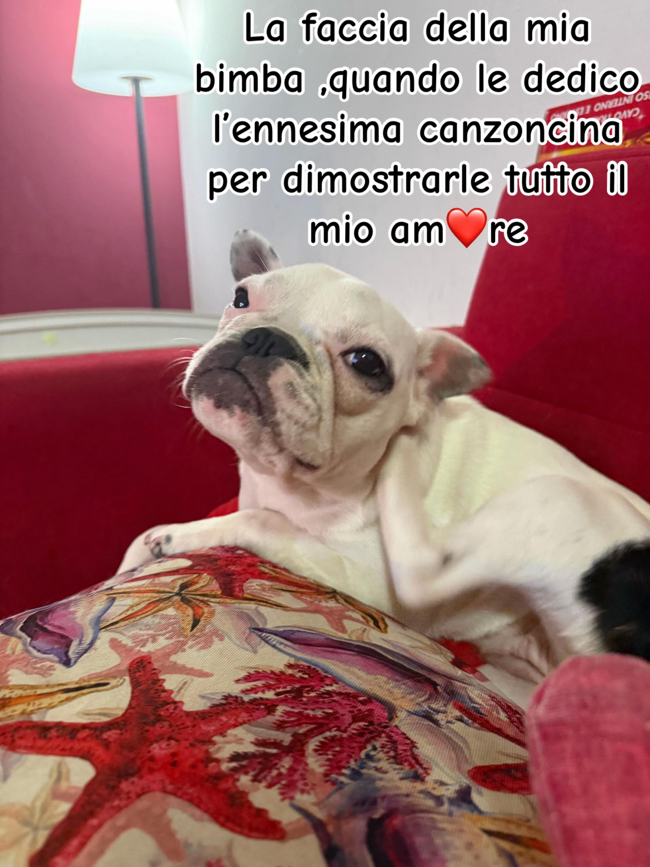 @𝑀𝒾𝒶 𝒹𝒶𝒾𝓁𝓎 𝓋𝒾𝒷𝑒𝓈⋆