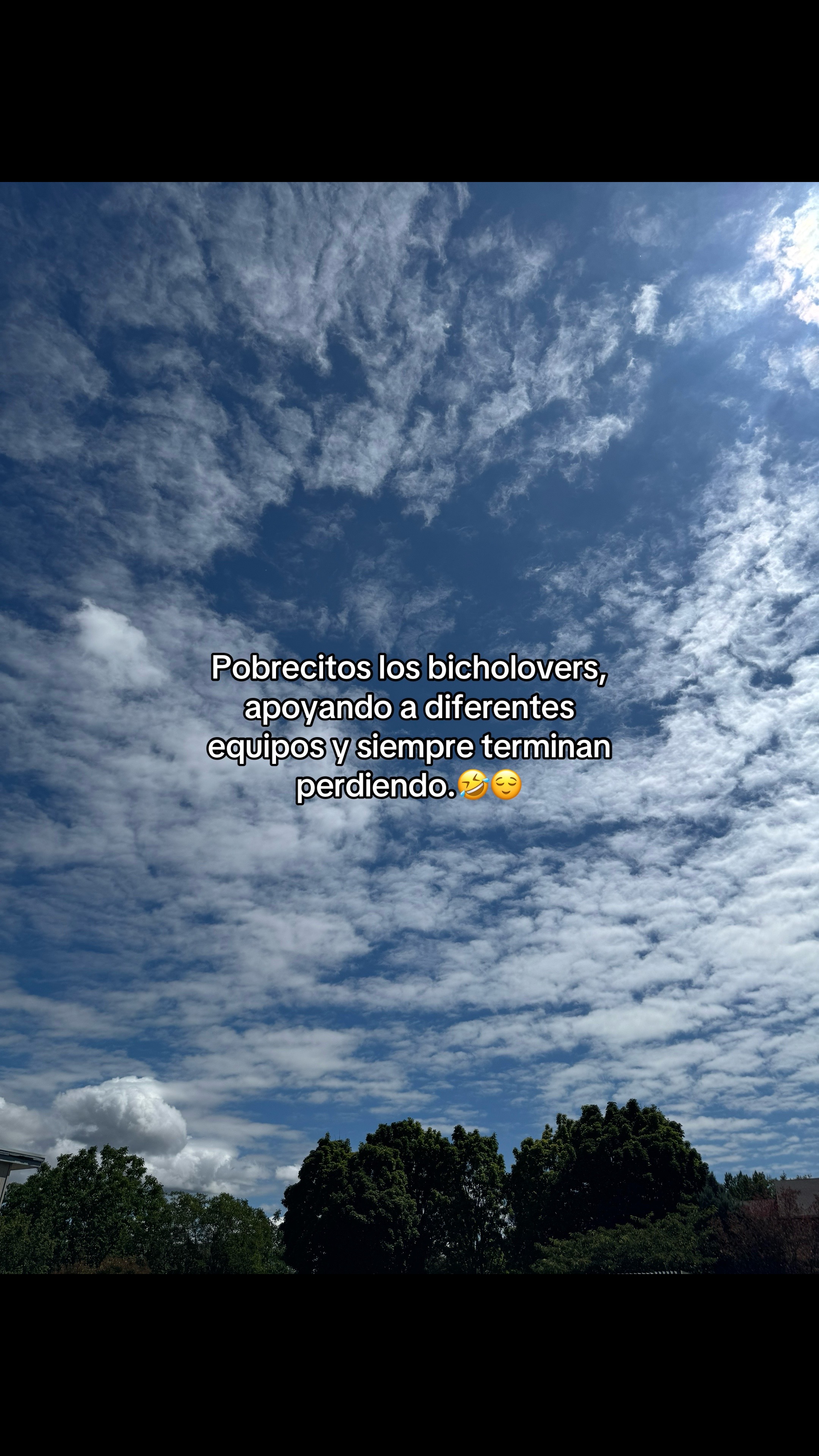 @•Zuly•