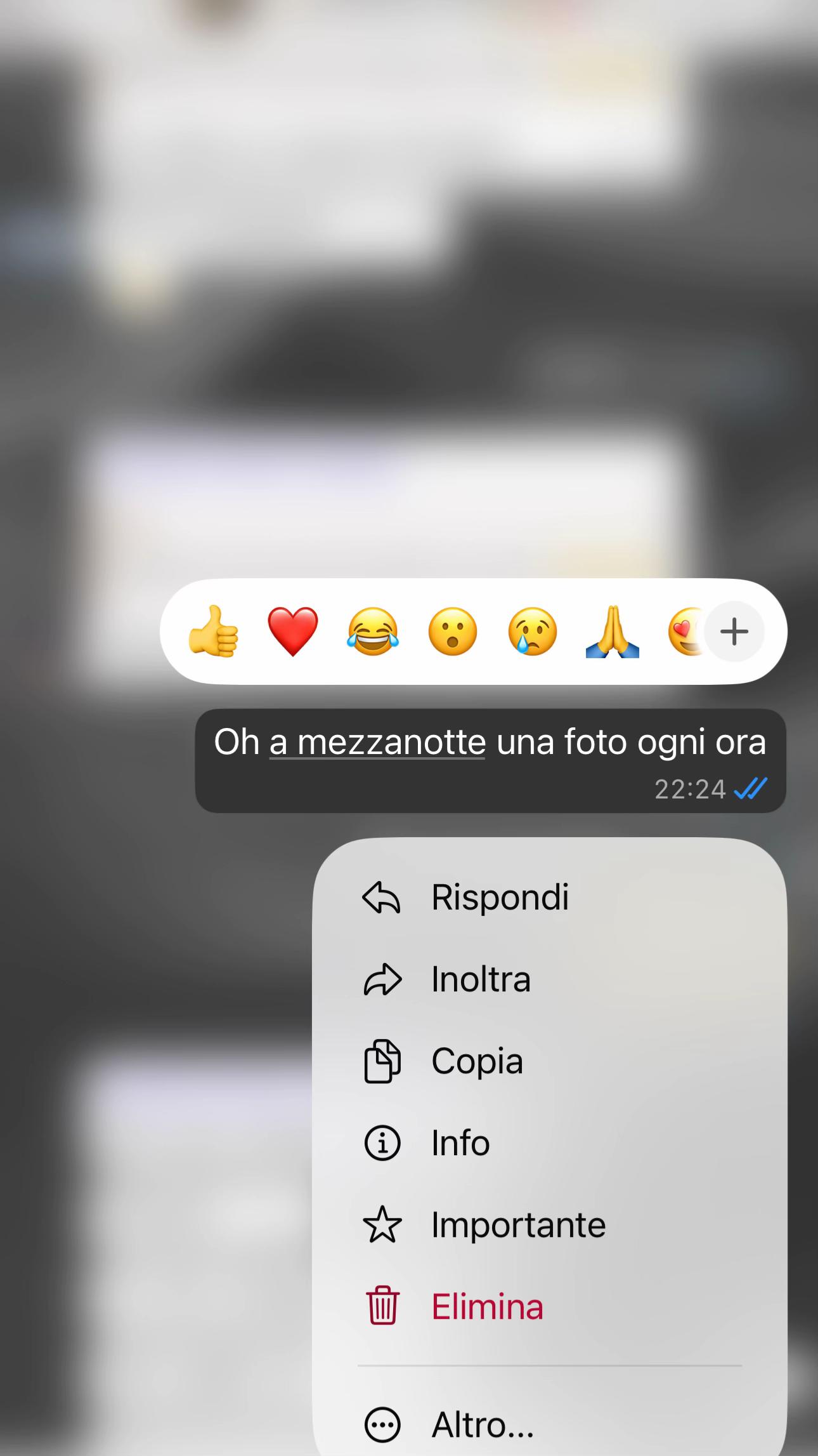 @Elisa Latini