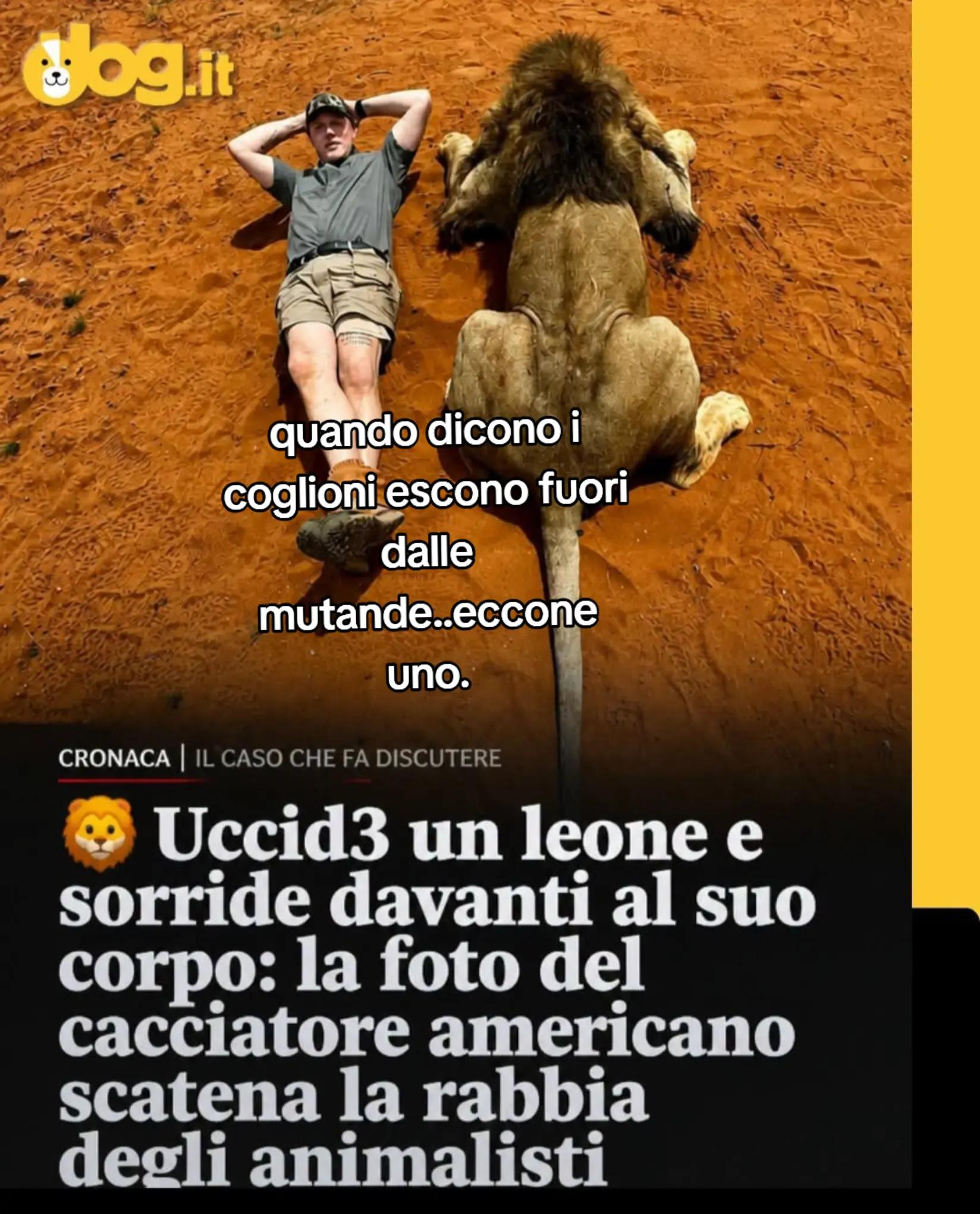 @ciropugliese379