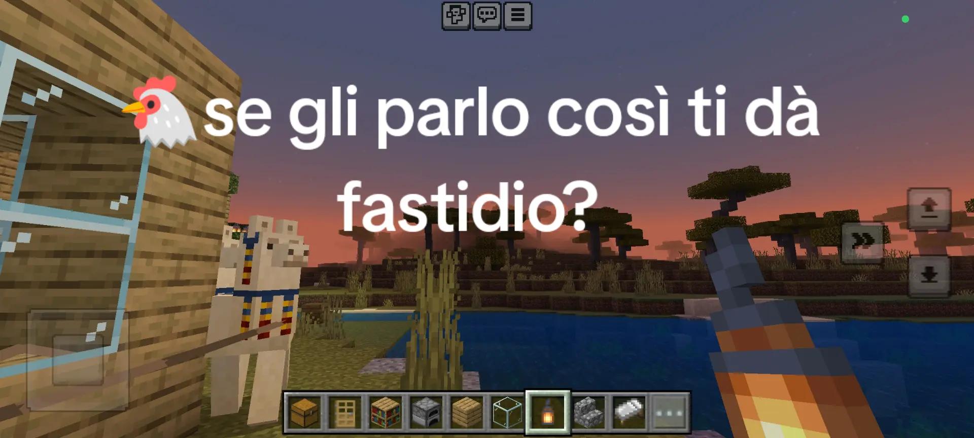 @Noetta🪸🐚