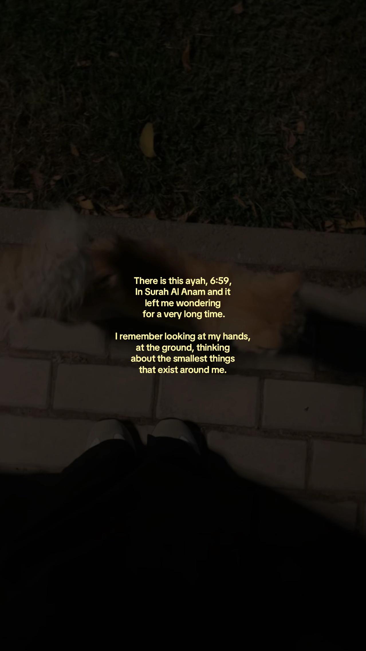 @️