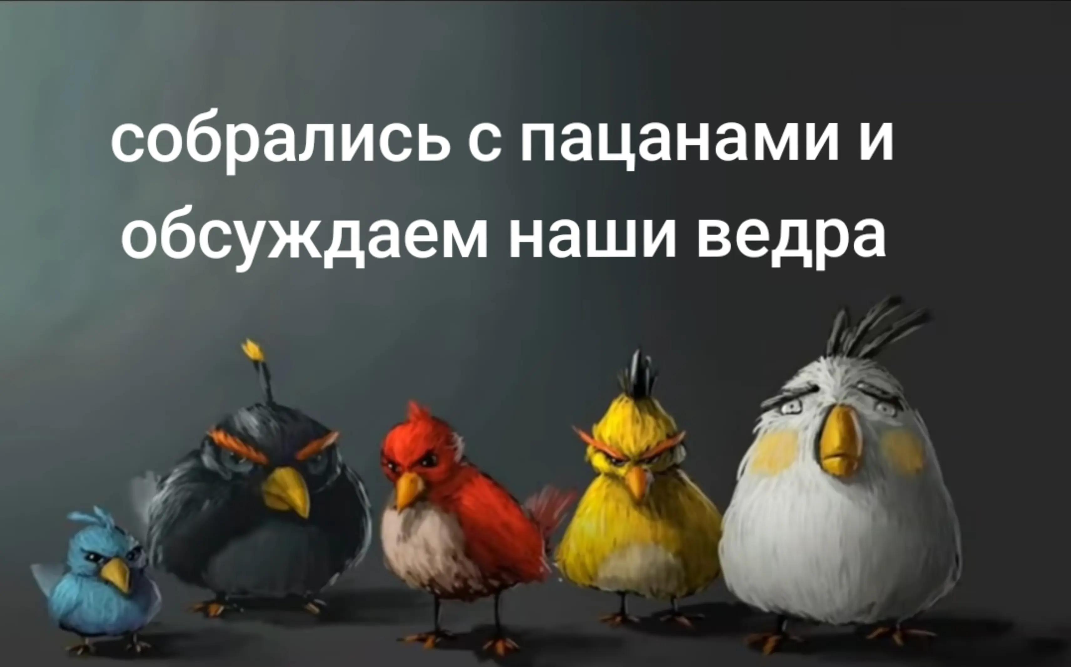 @дикий хуила