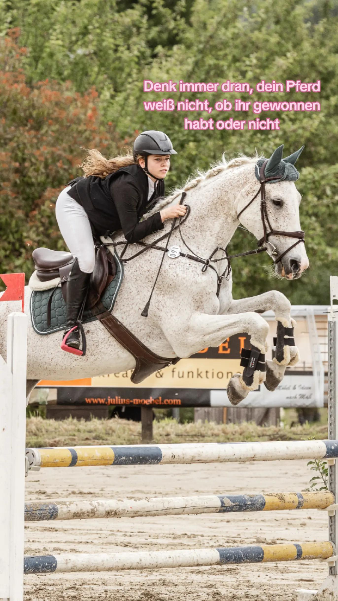@Spring"Pony"Casha