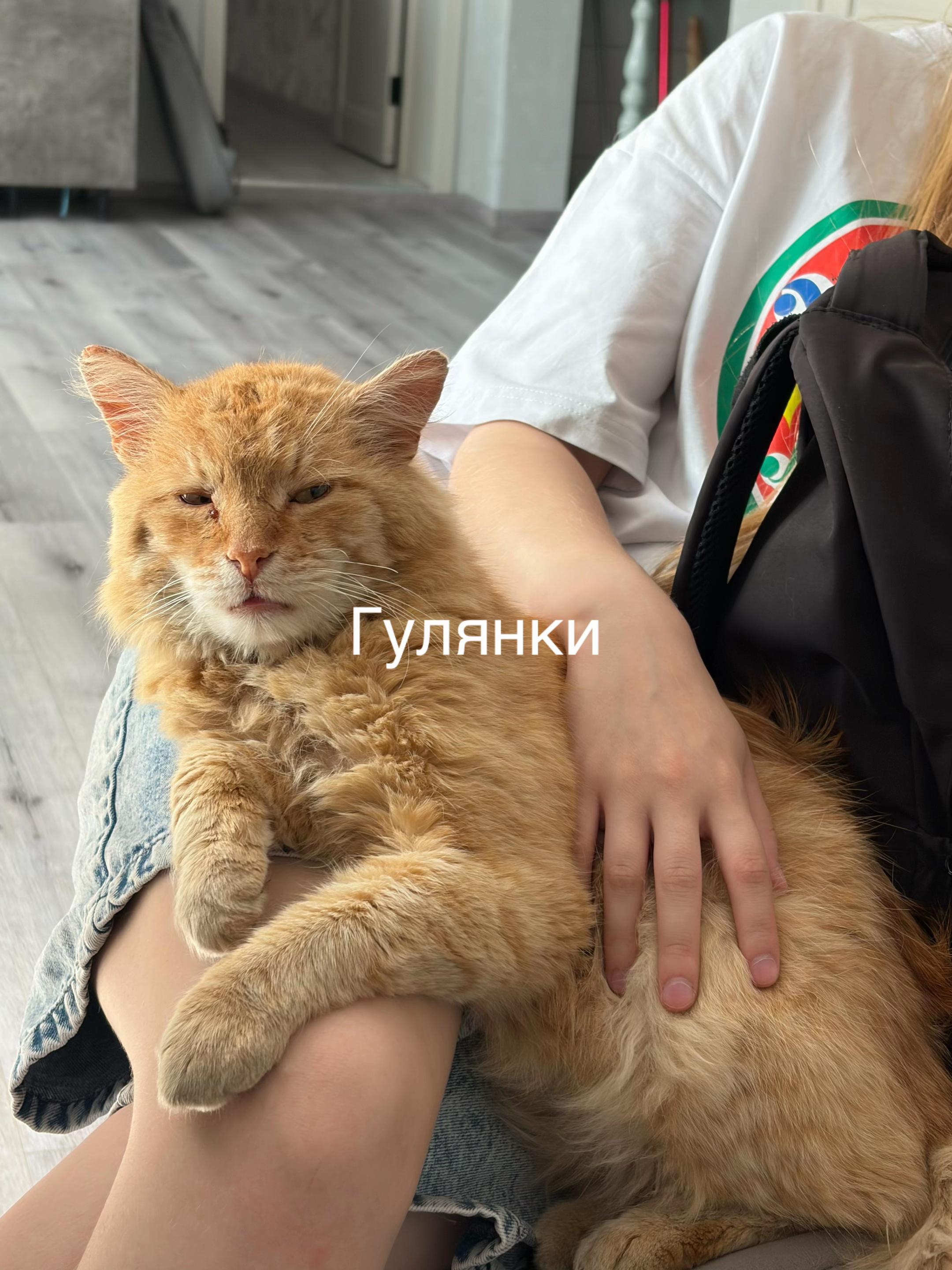 @Слава Солнце