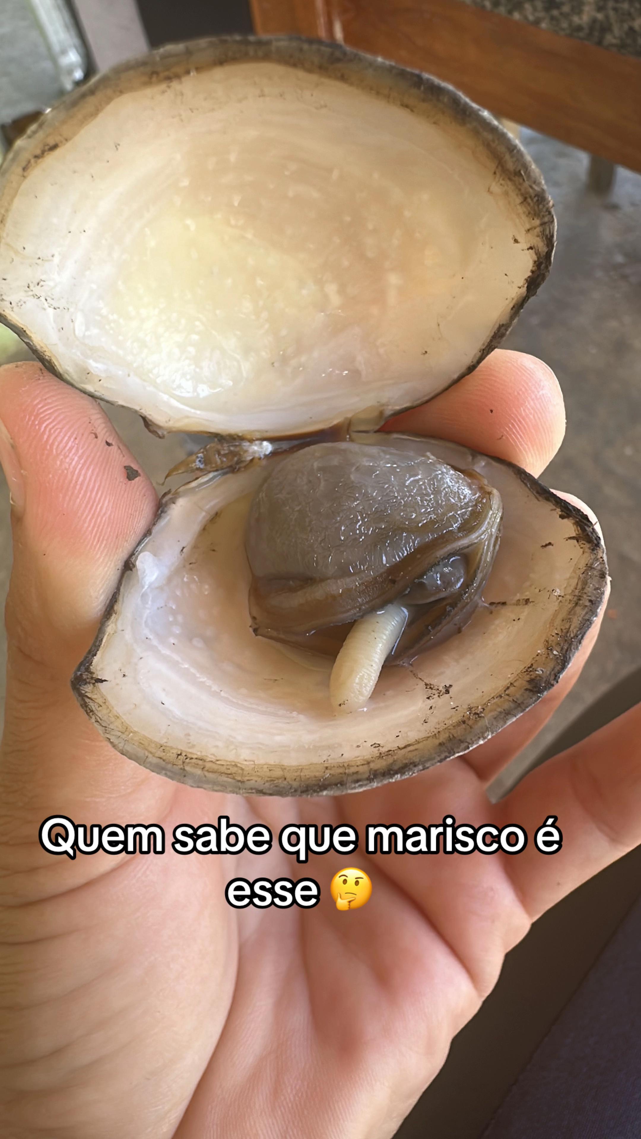 @edilza981