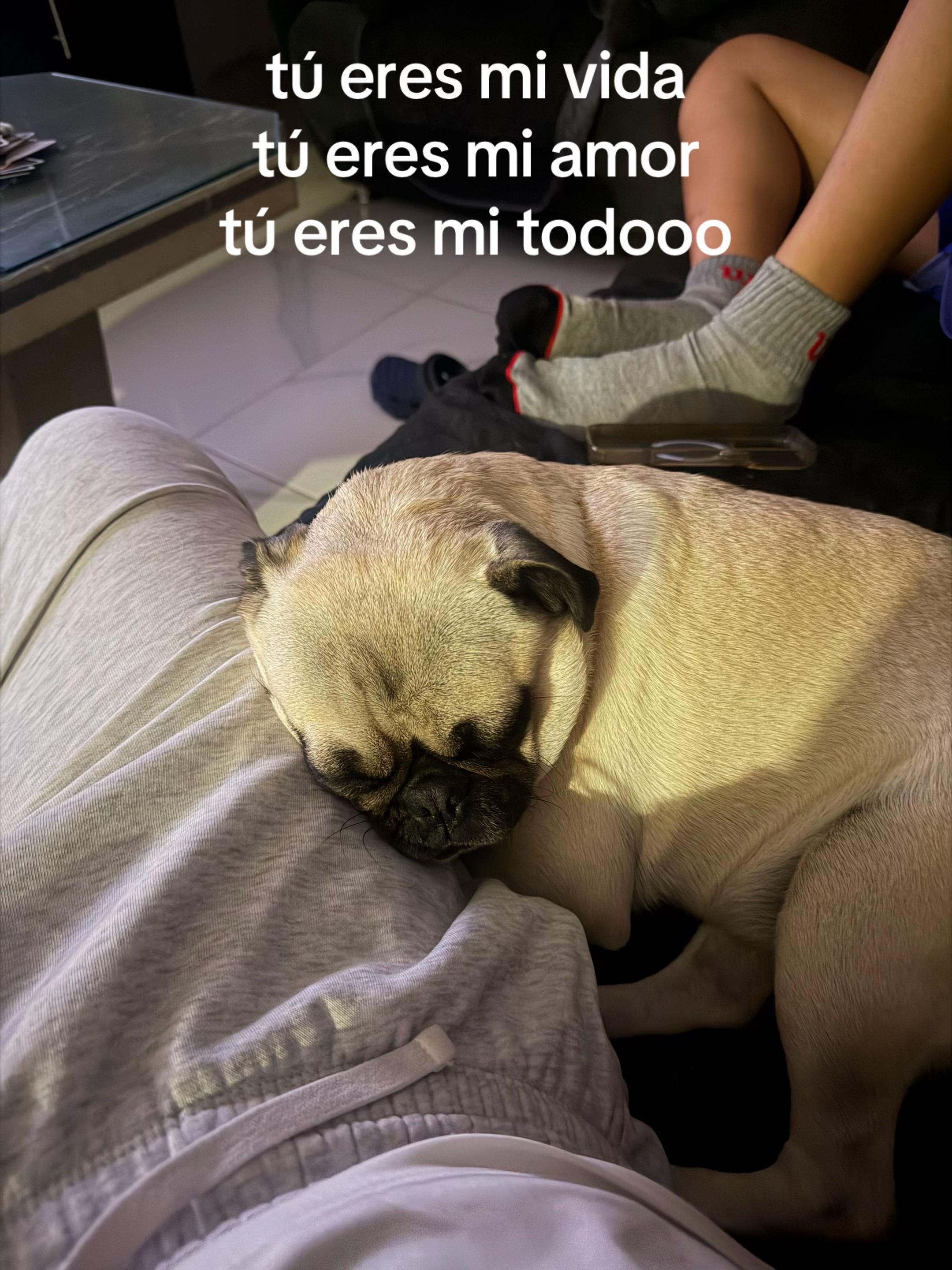 @Luis Sanz