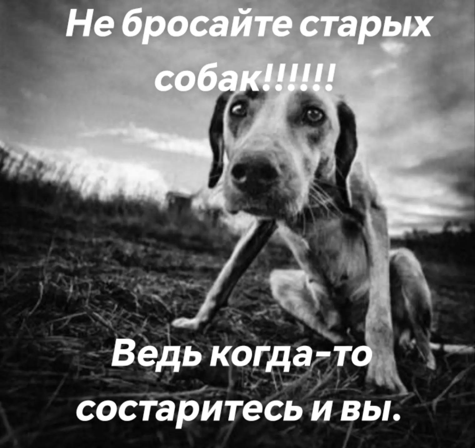 @Наталья Сосновская