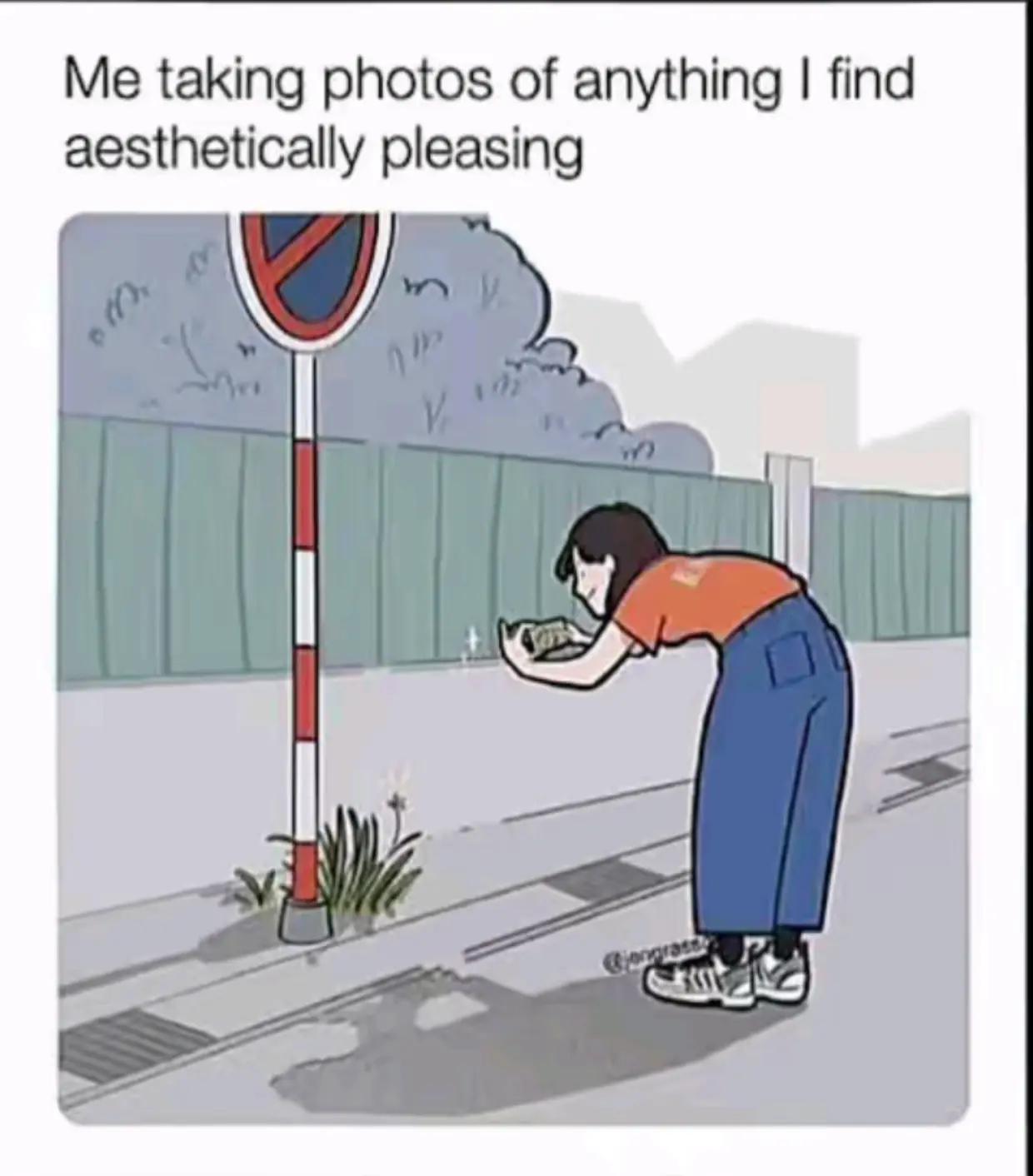 @jaysei