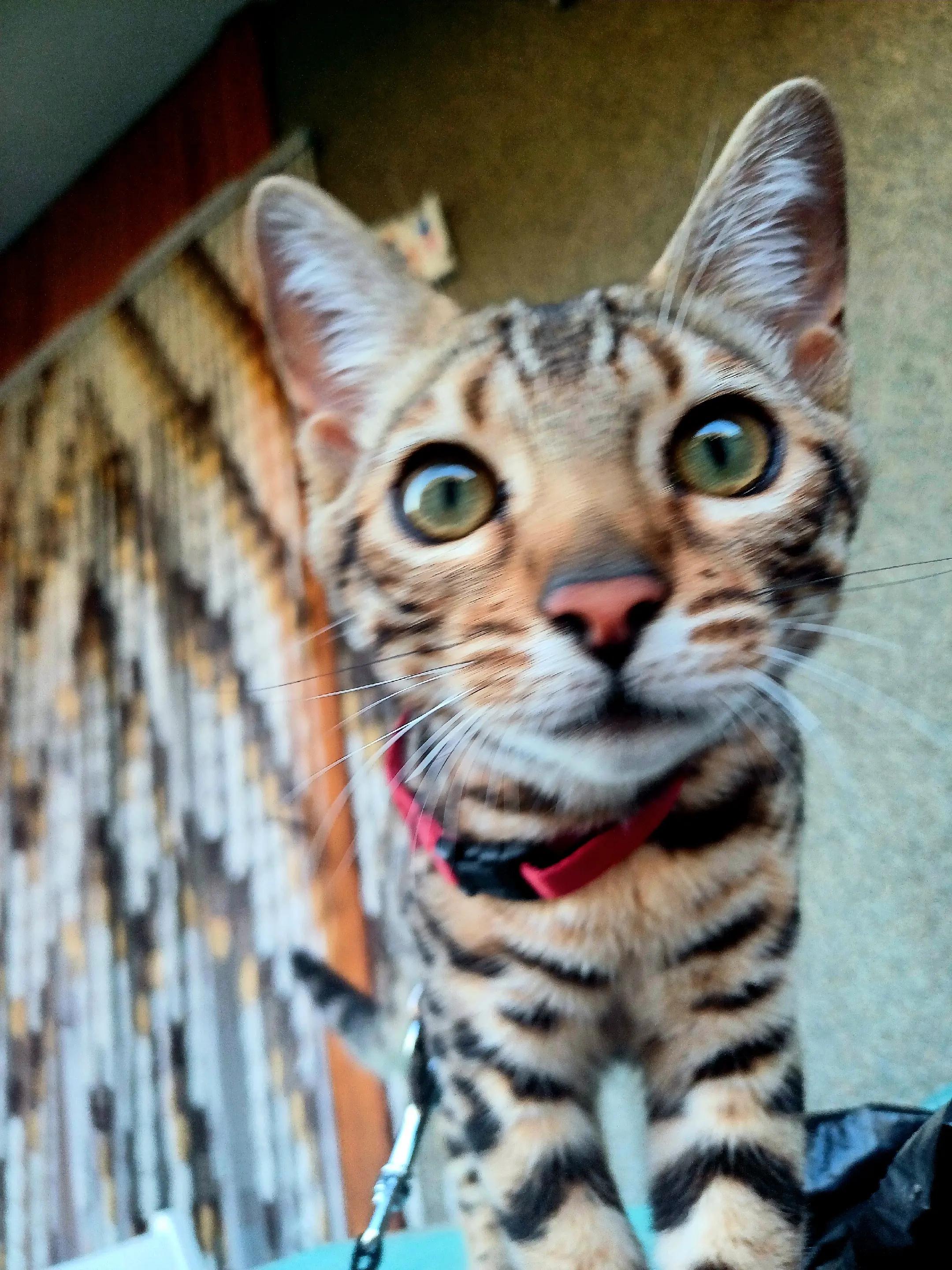 @Rio.supercat