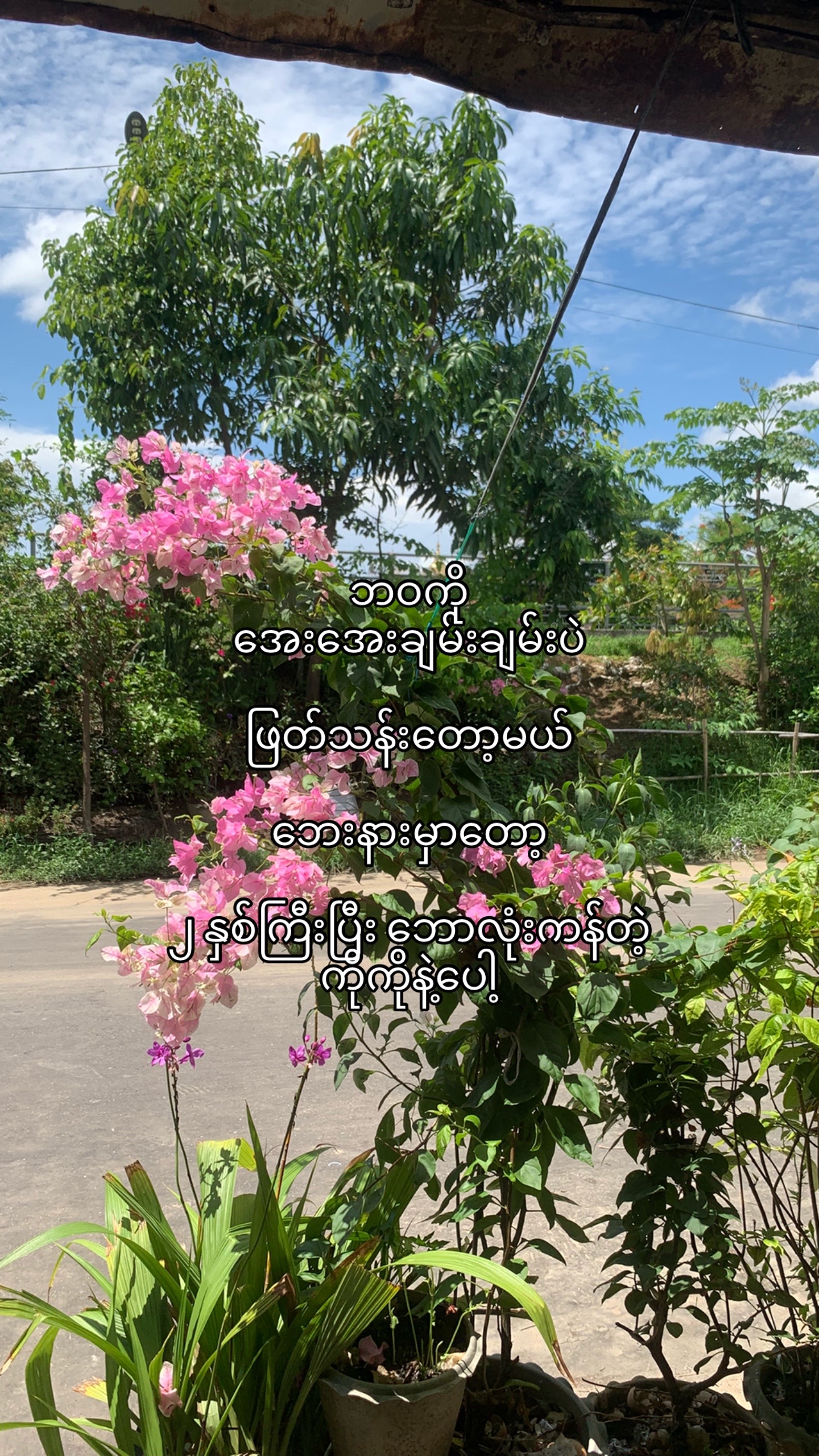 @ပြန်လာပေးပါ