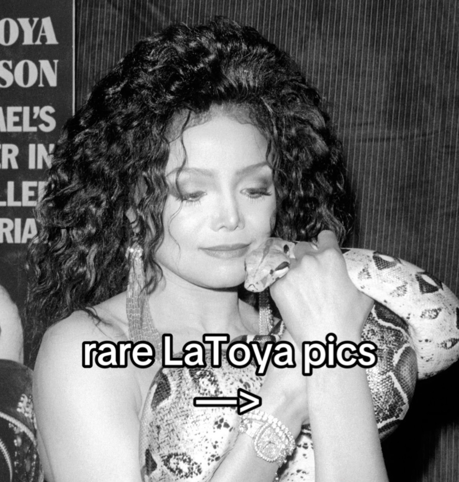 @Latoya&rsquo;s Rosetoy
