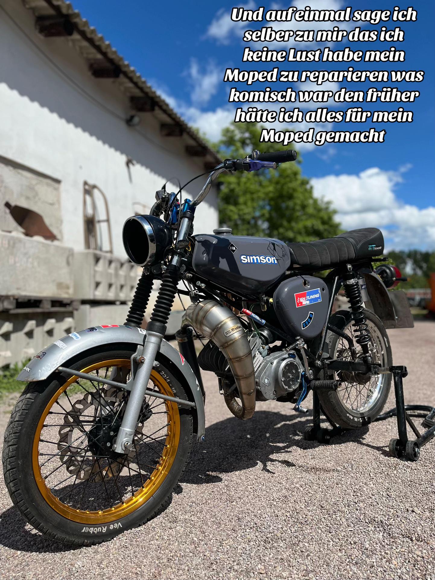 @Klemmer_Schrödii