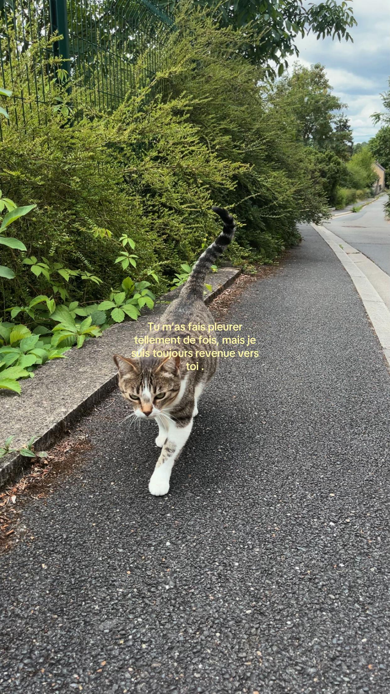 @๐๐พ๐ต๐ฒ๐ฎ๐