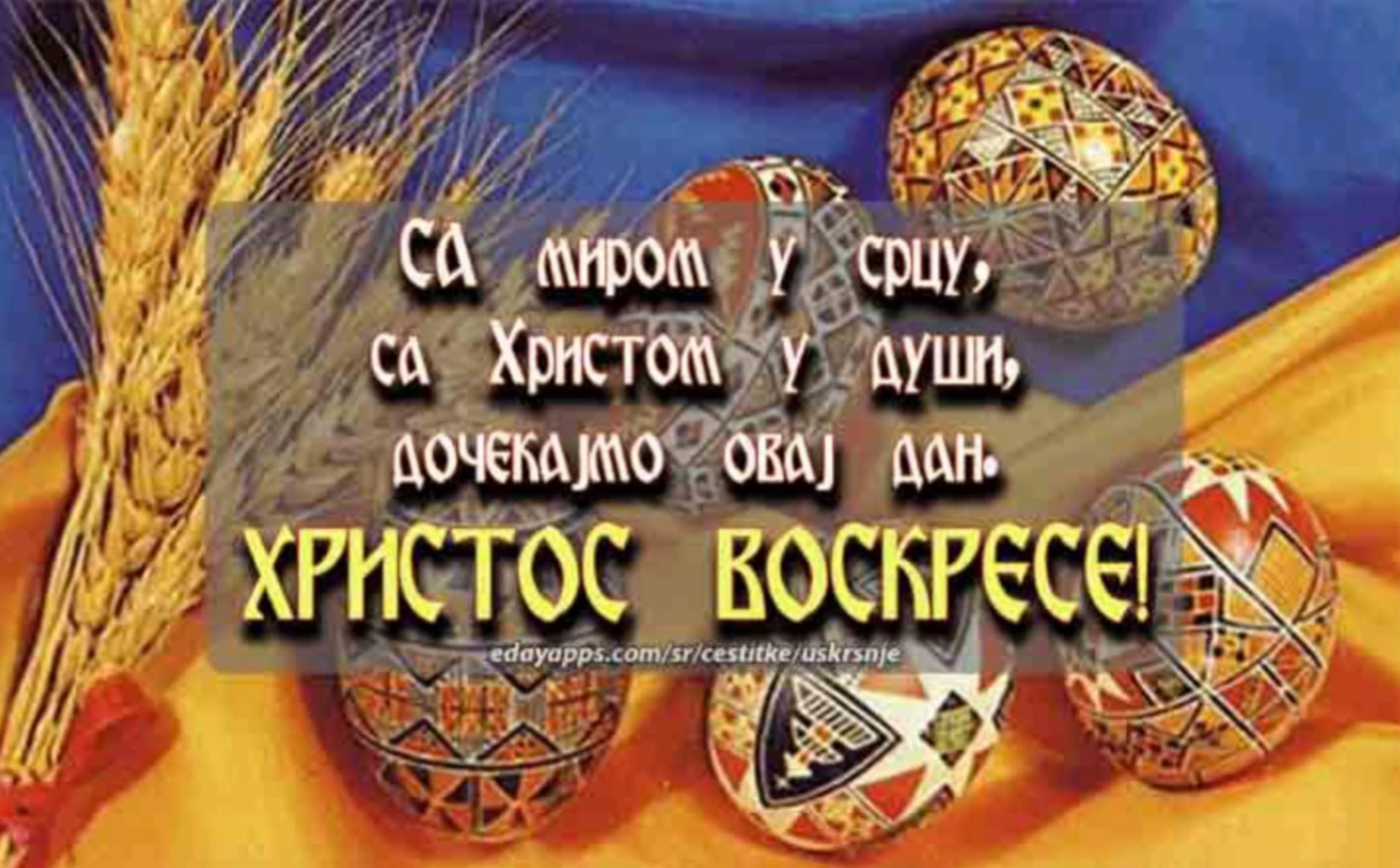 @Miljan Miki Djoric