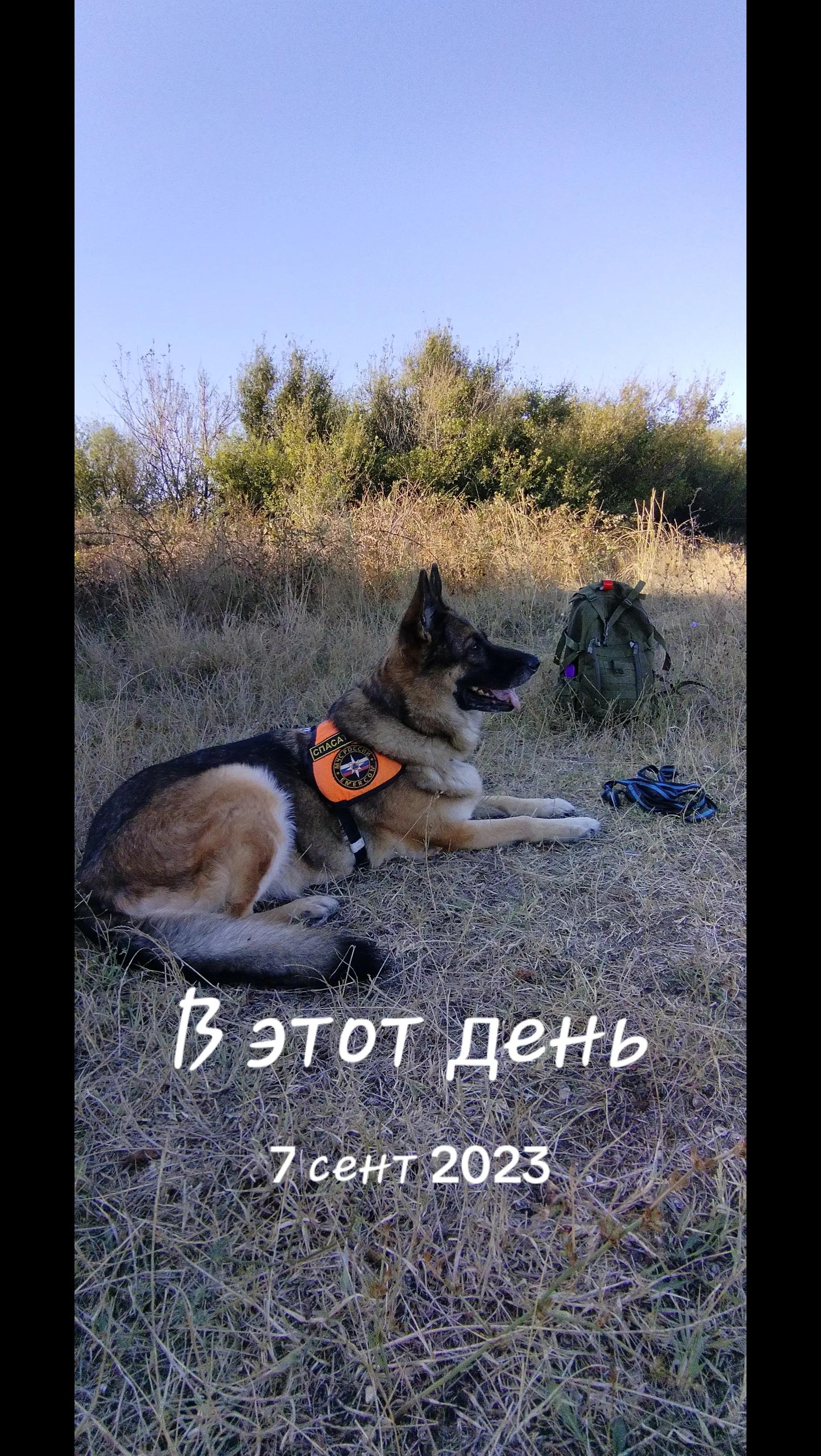 @Виталий