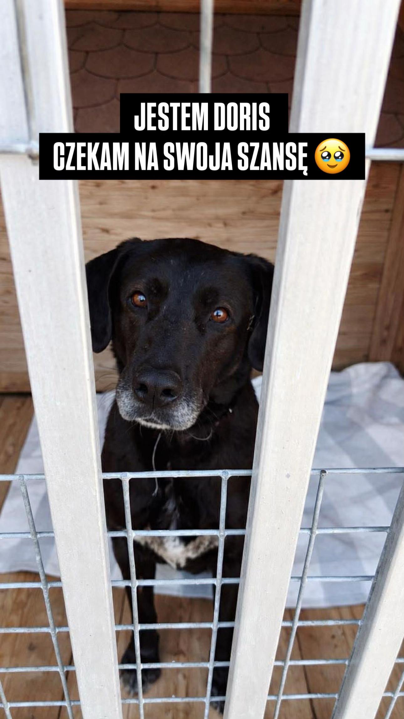 @StrzalkosiaV2