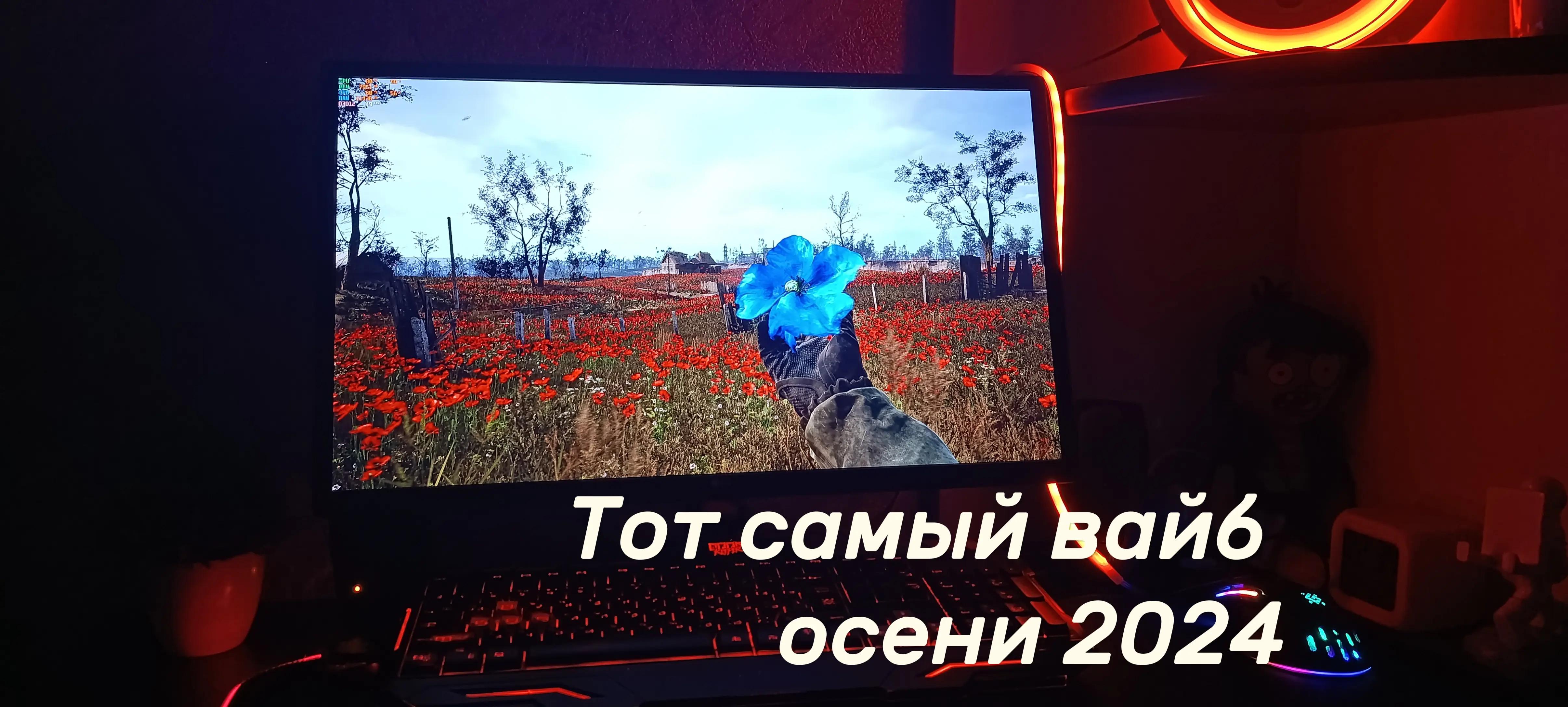 @Gamer:cat