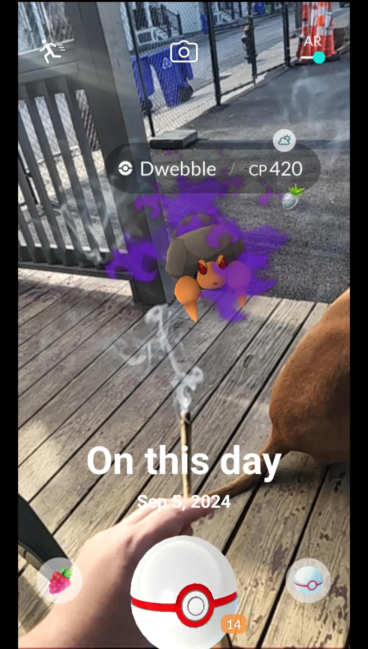 @Barghest