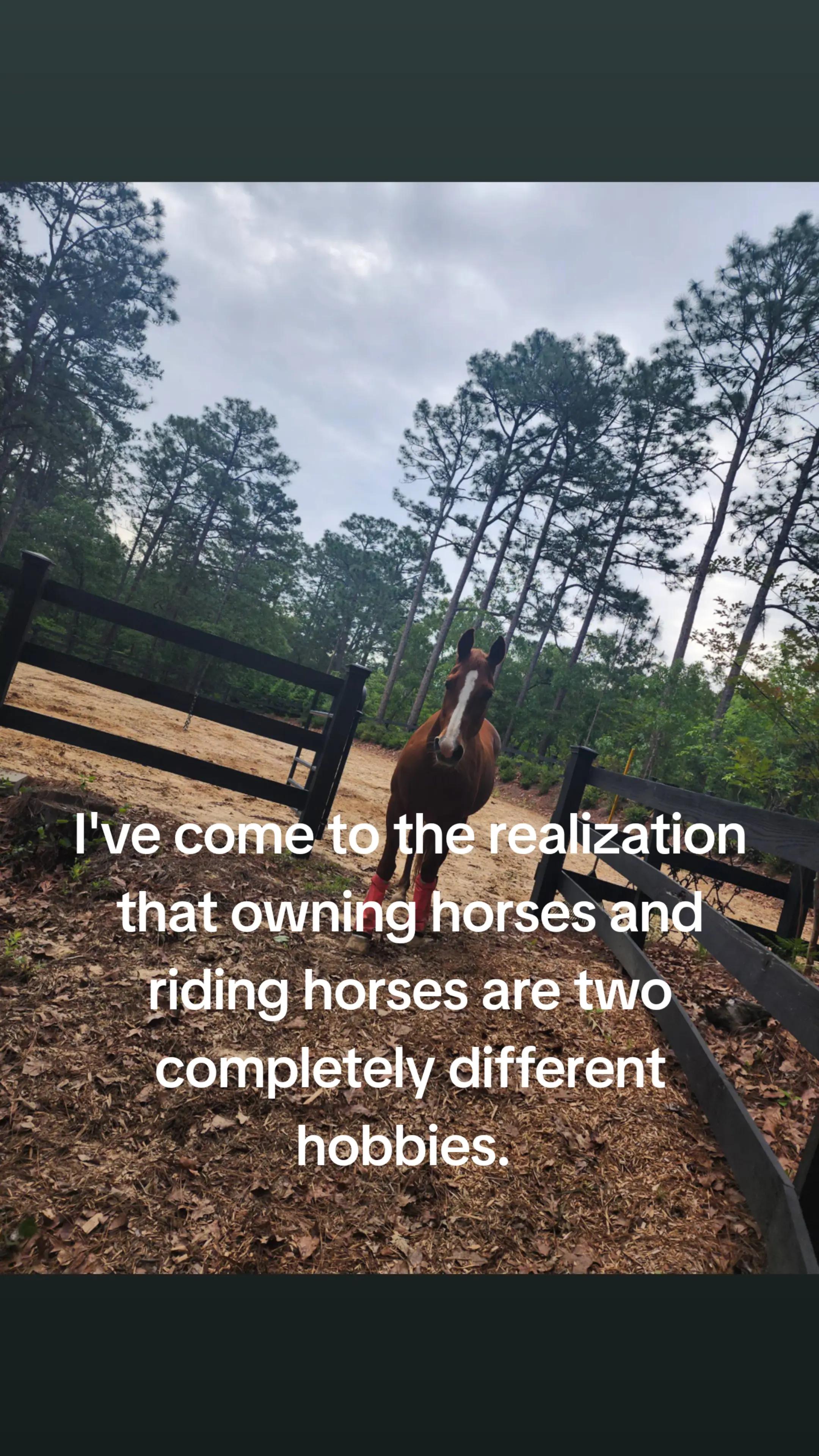 @Almost Perfect Acres