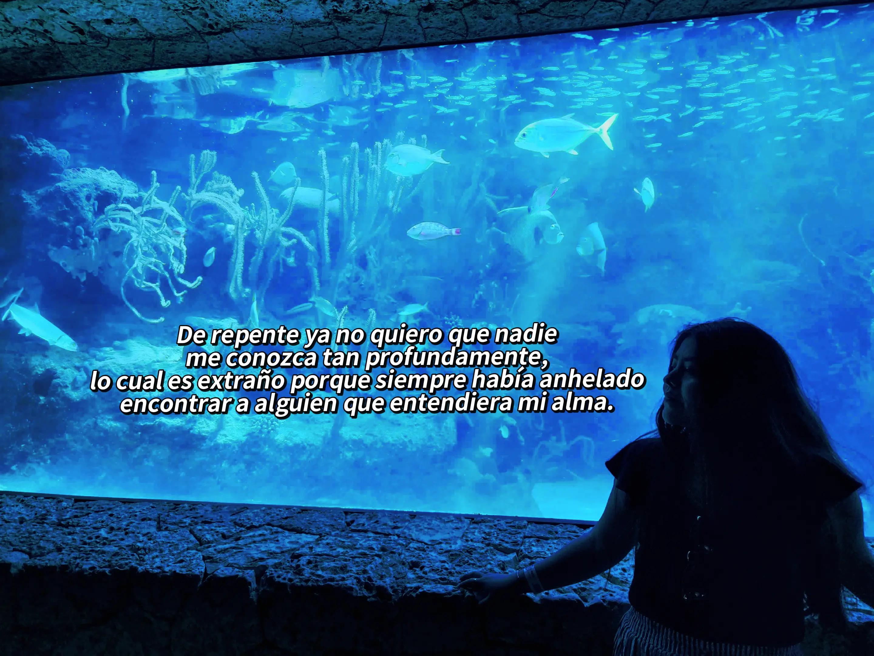 @Melanie Suaña Q.