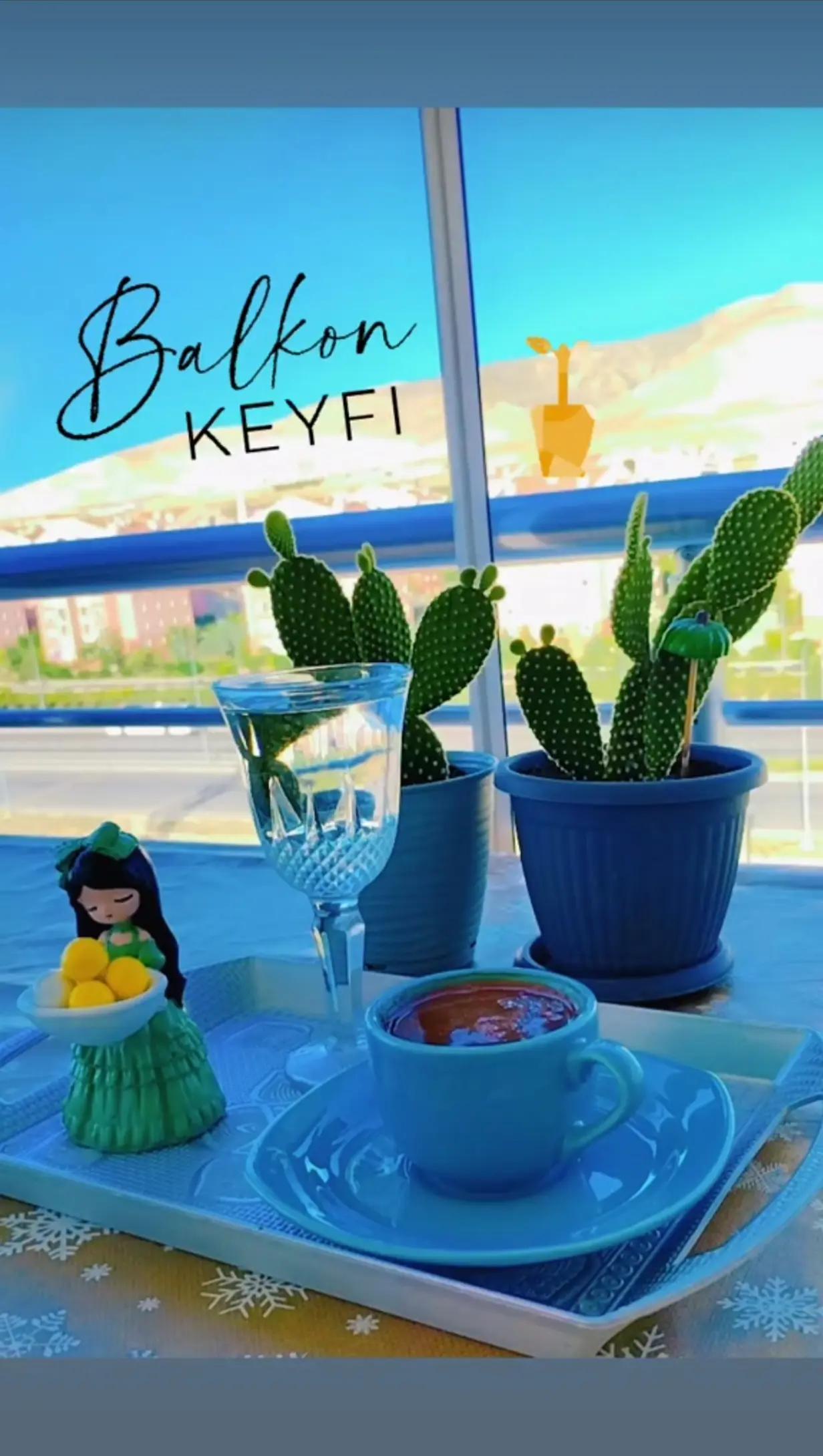 @Deniz Yıldızı
