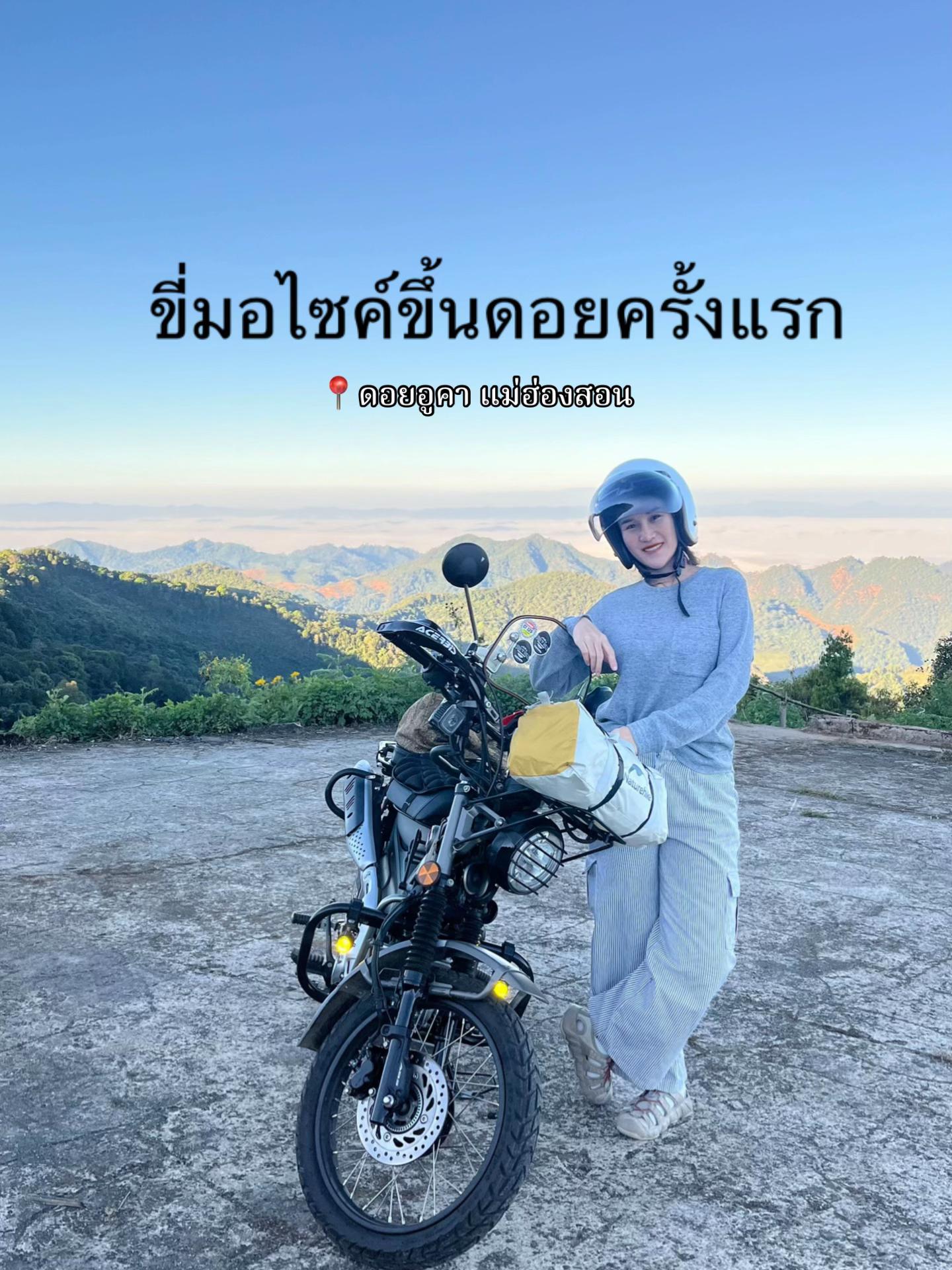 @ไอซ์อินอาร์ม