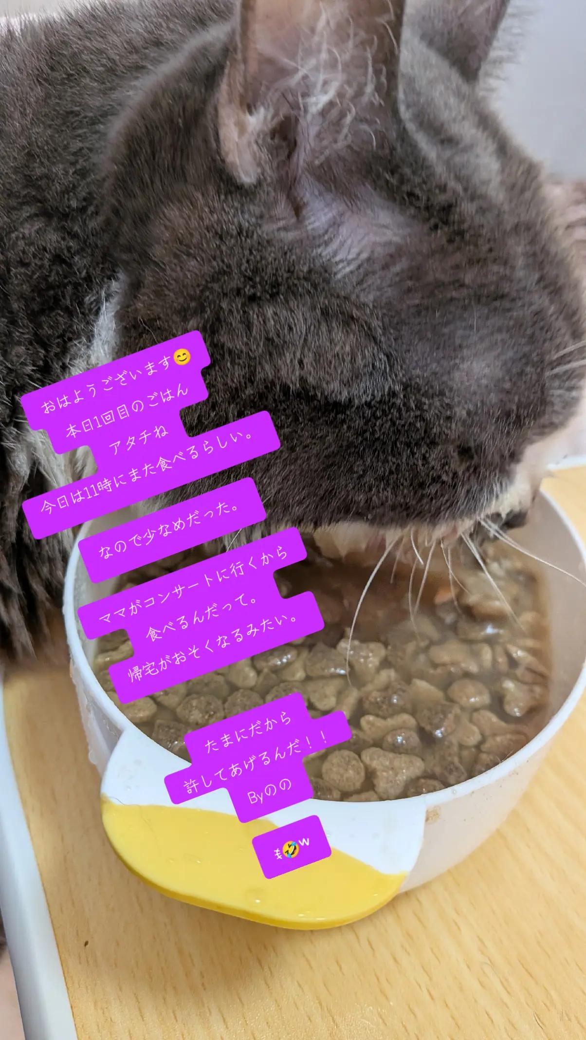 @てんきな