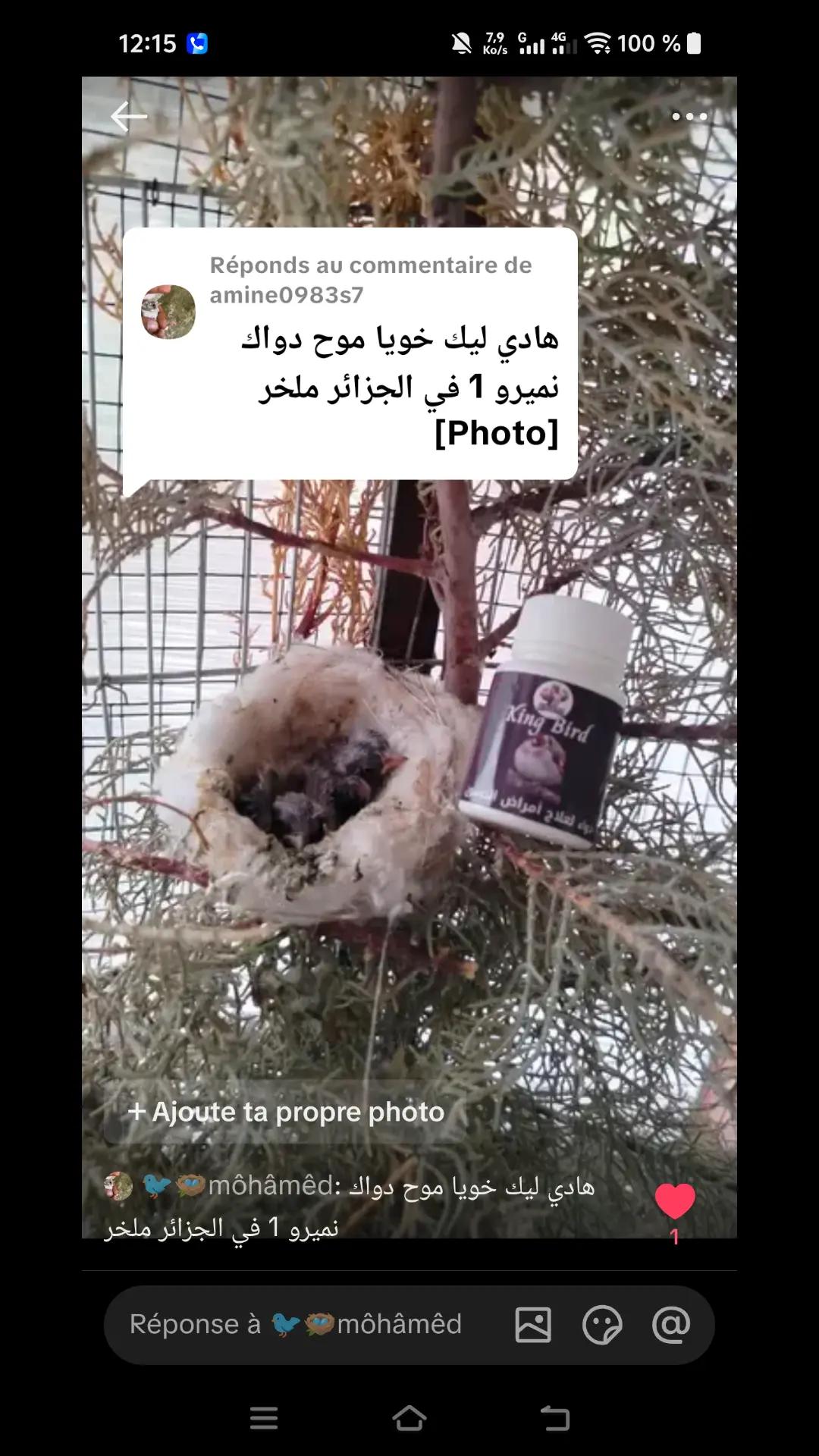 @King Mohamed 🐦