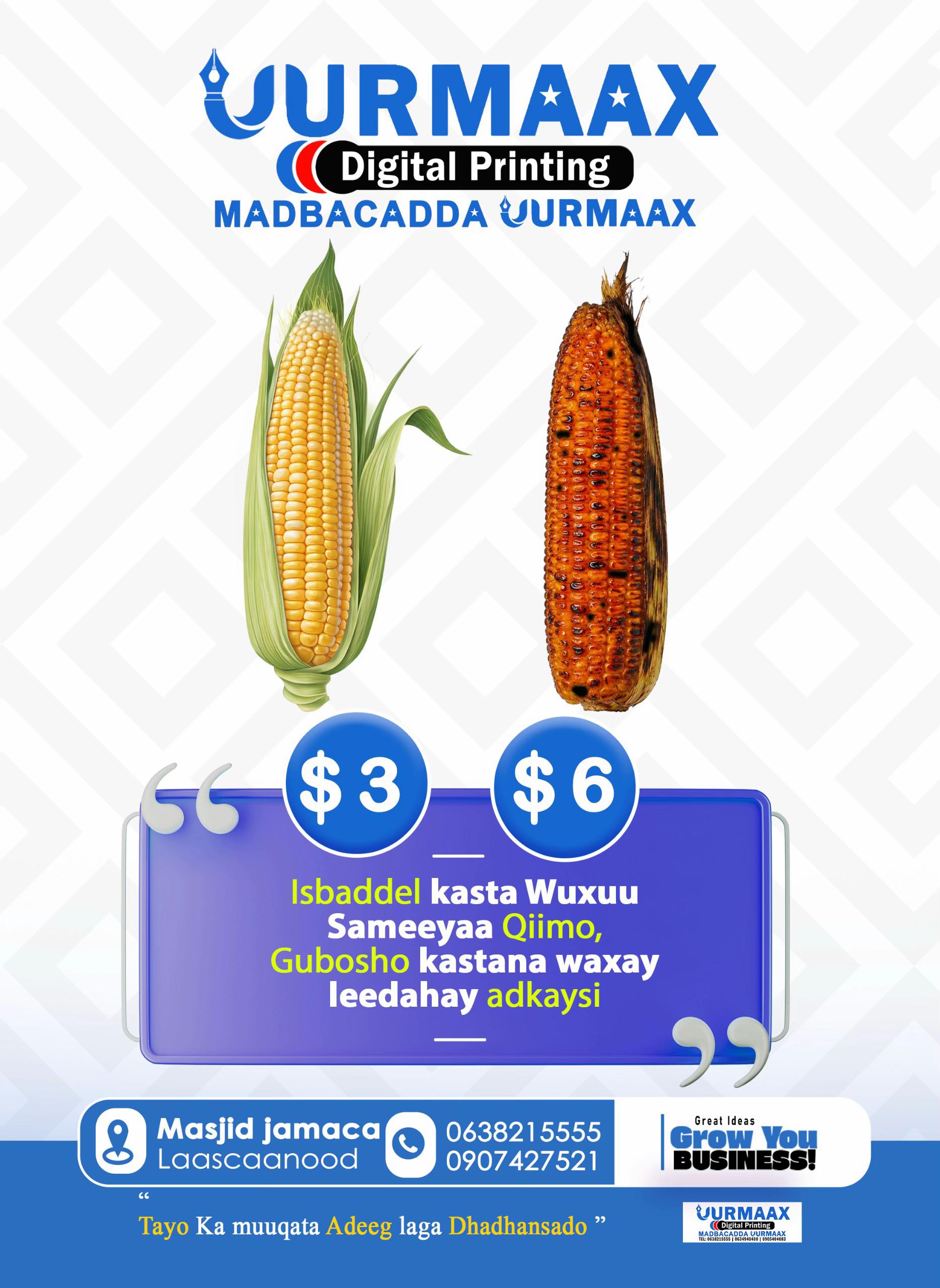 @UURMAAX / أورماح