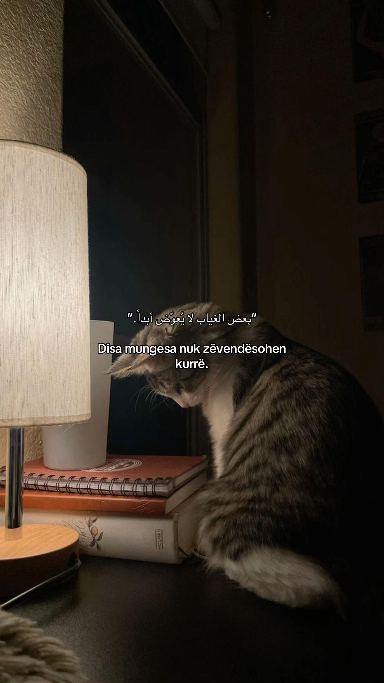 @<